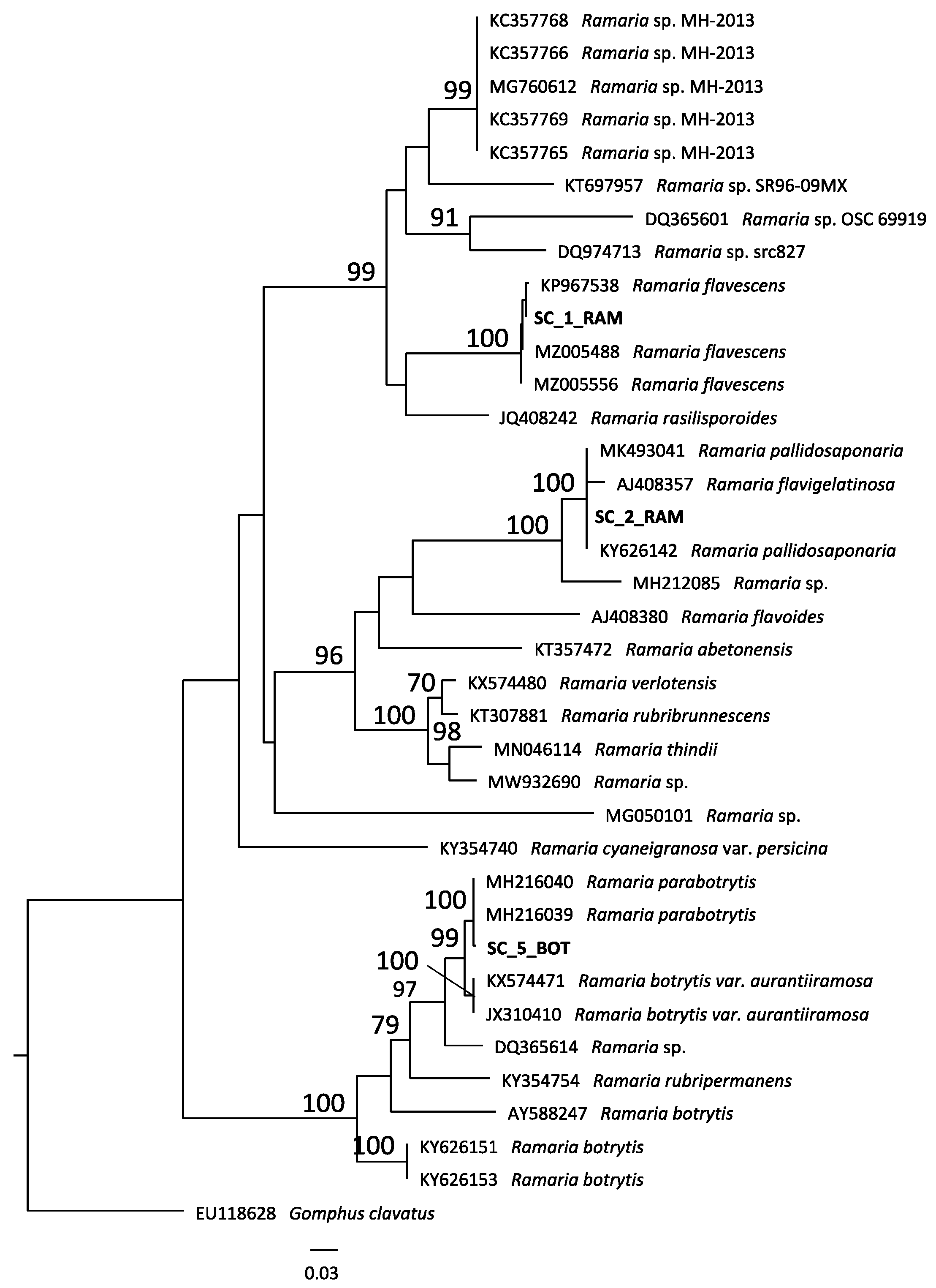 Antibiotics 10 01424 g001