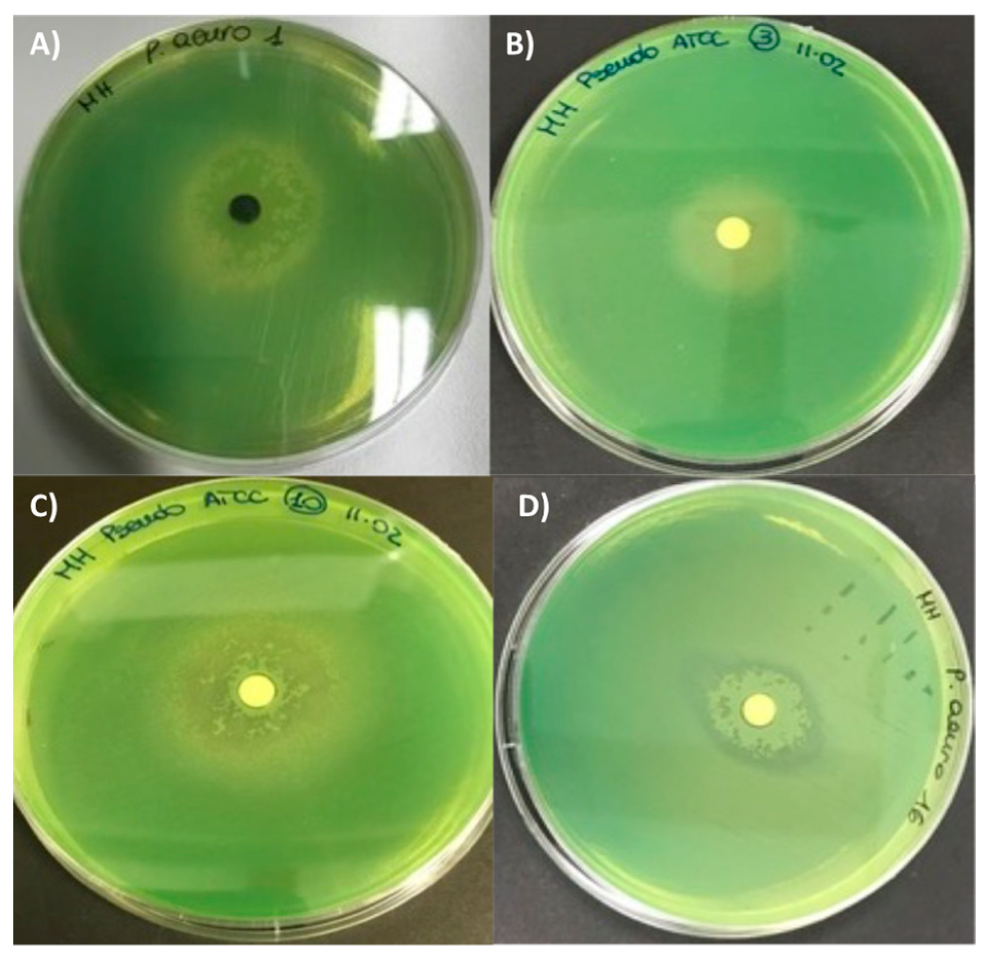 Antibiotics 10 01424 g003