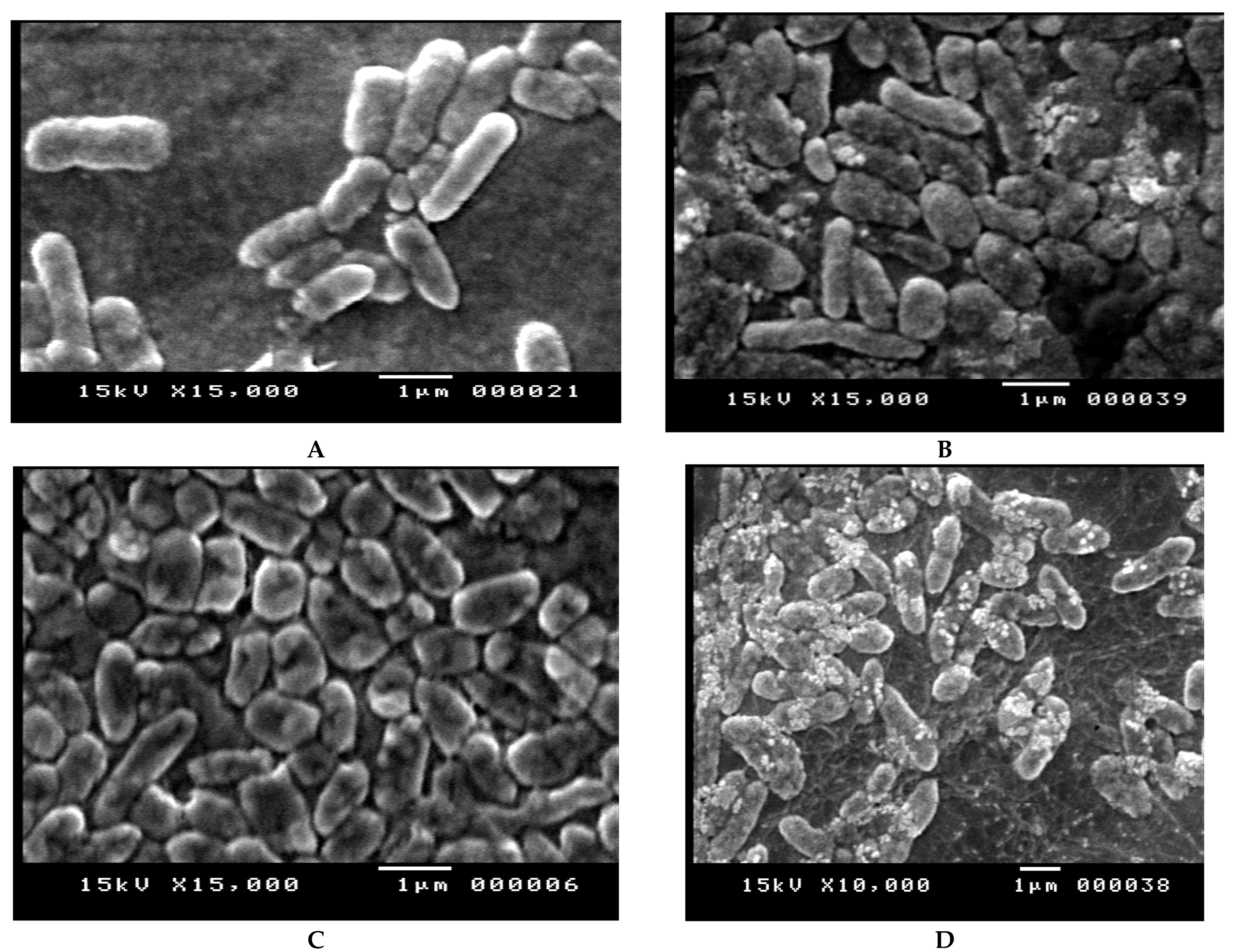 Antibiotics 10 01429 g003