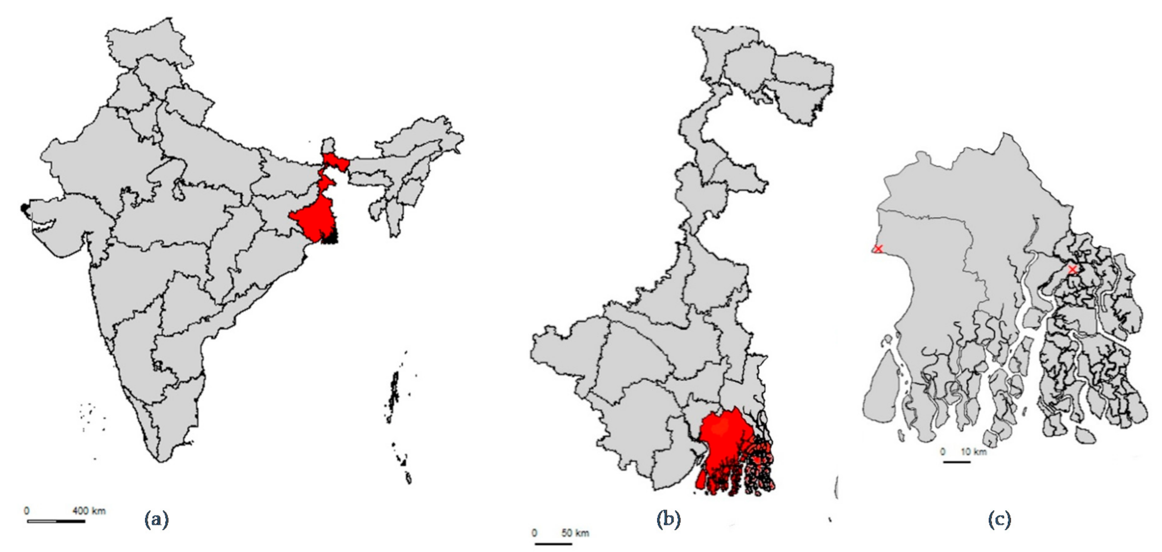 Antibiotics 10 01433 g001