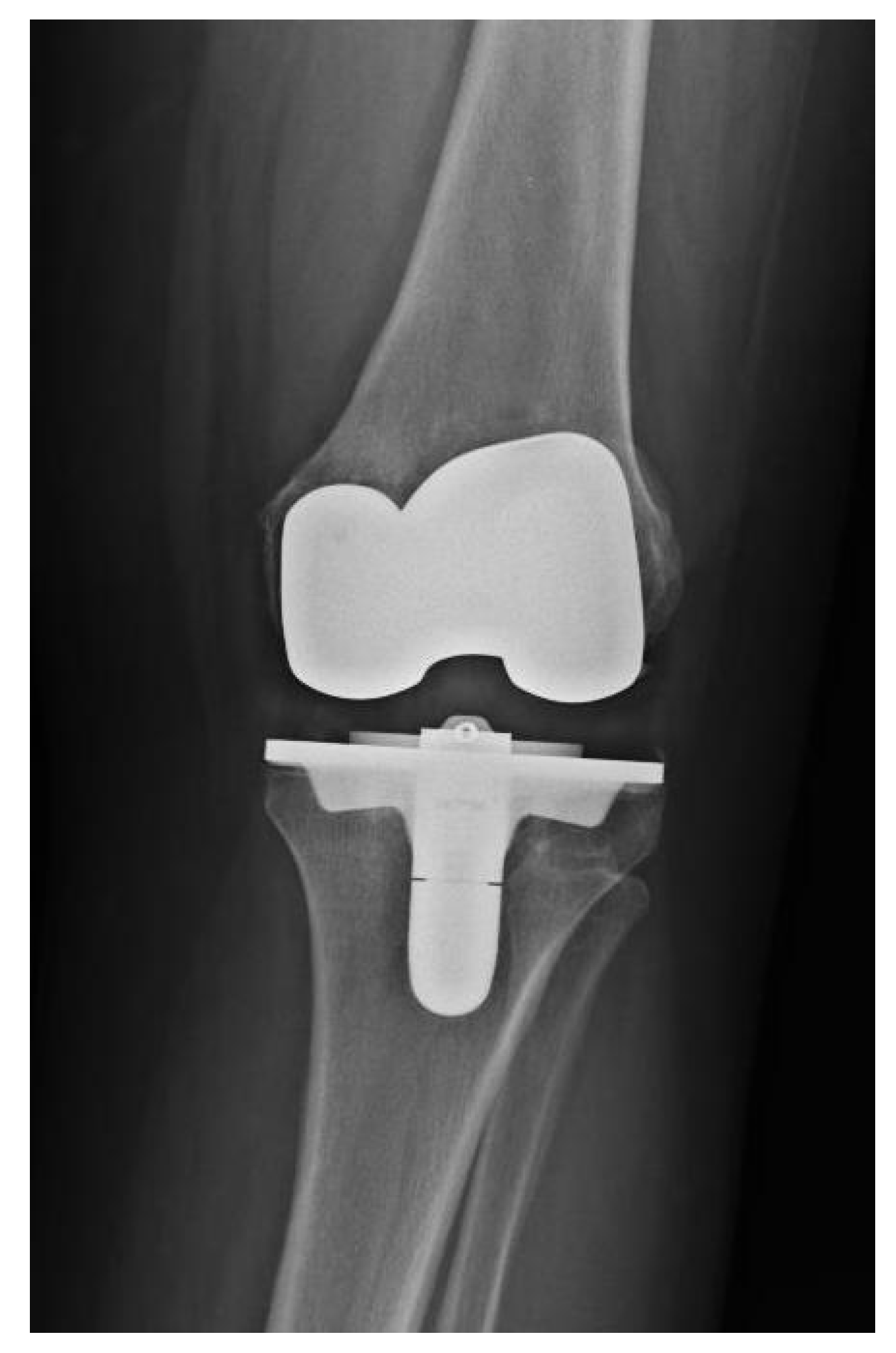 Antibiotics 10 01436 g001