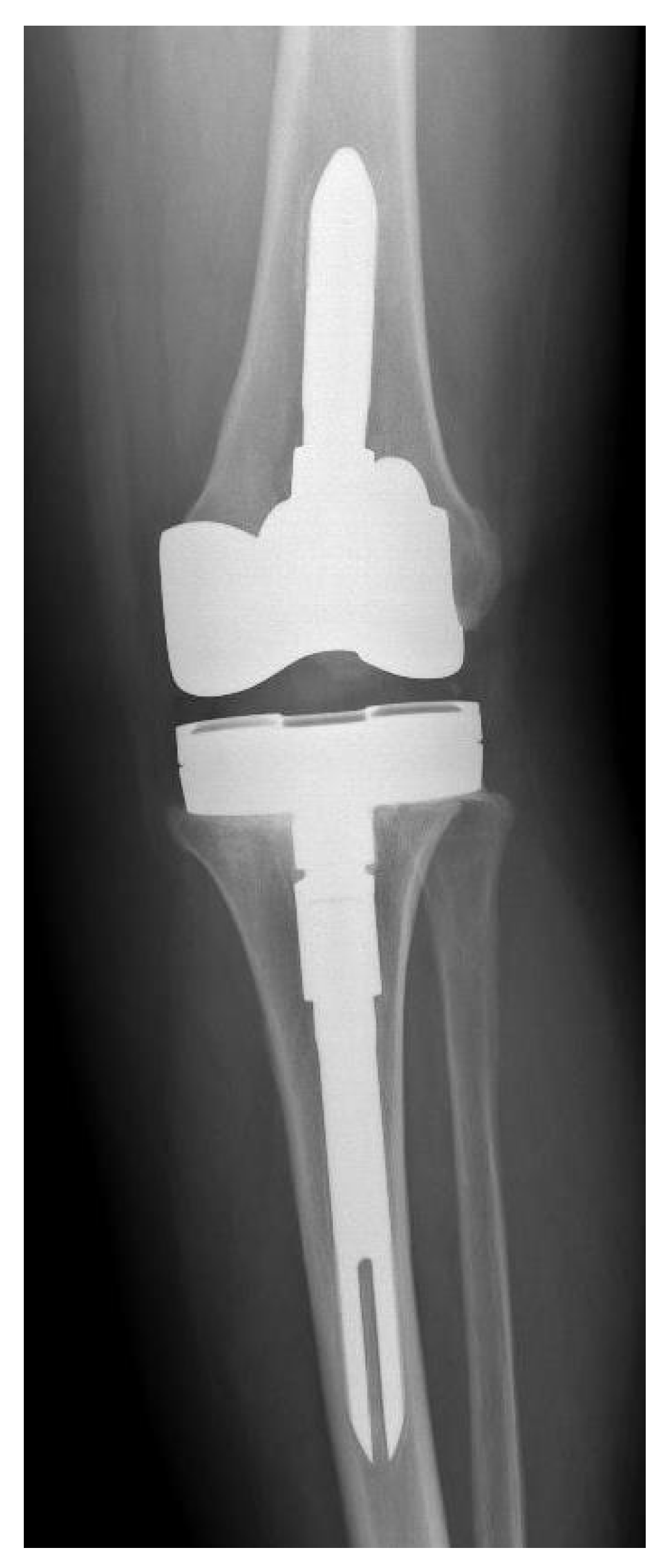 Antibiotics 10 01436 g002