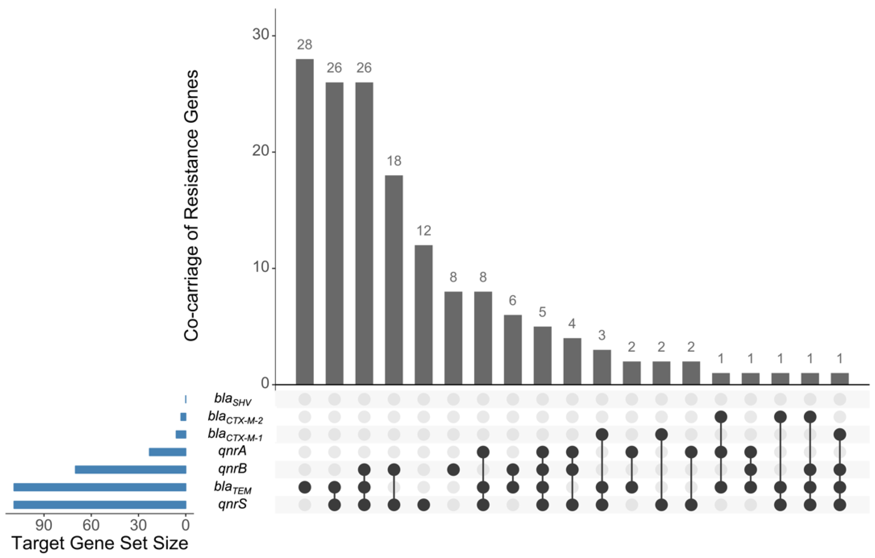 Antibiotics 10 01442 g001