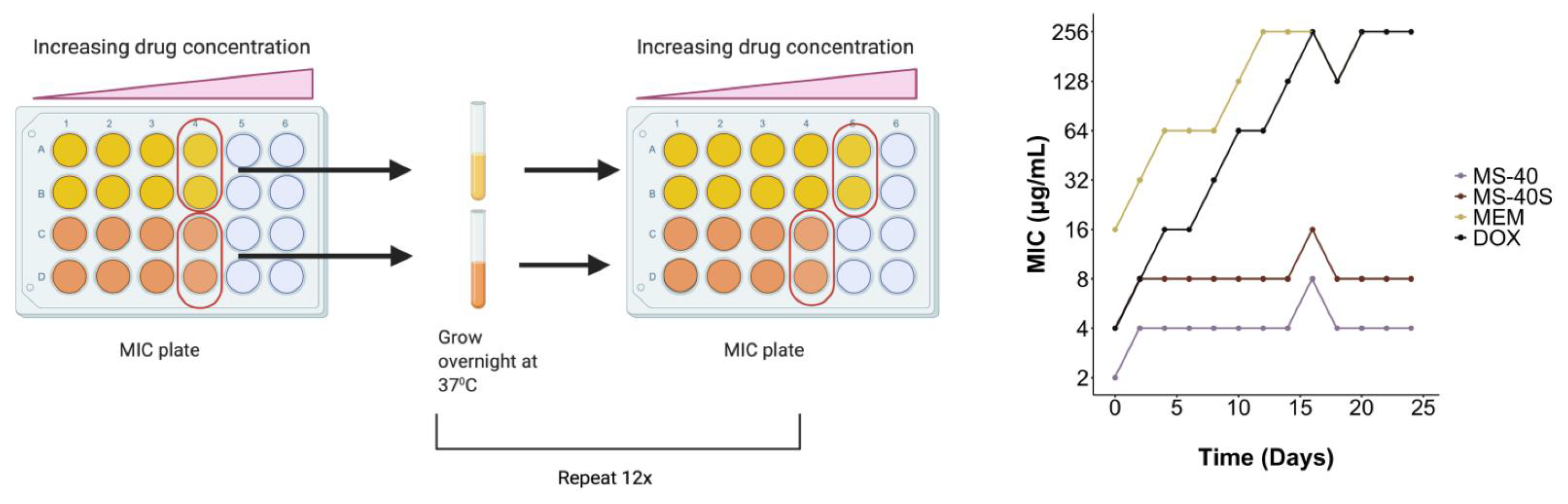 Antibiotics 10 01443 g002 Antibiotics 10 01443 g002