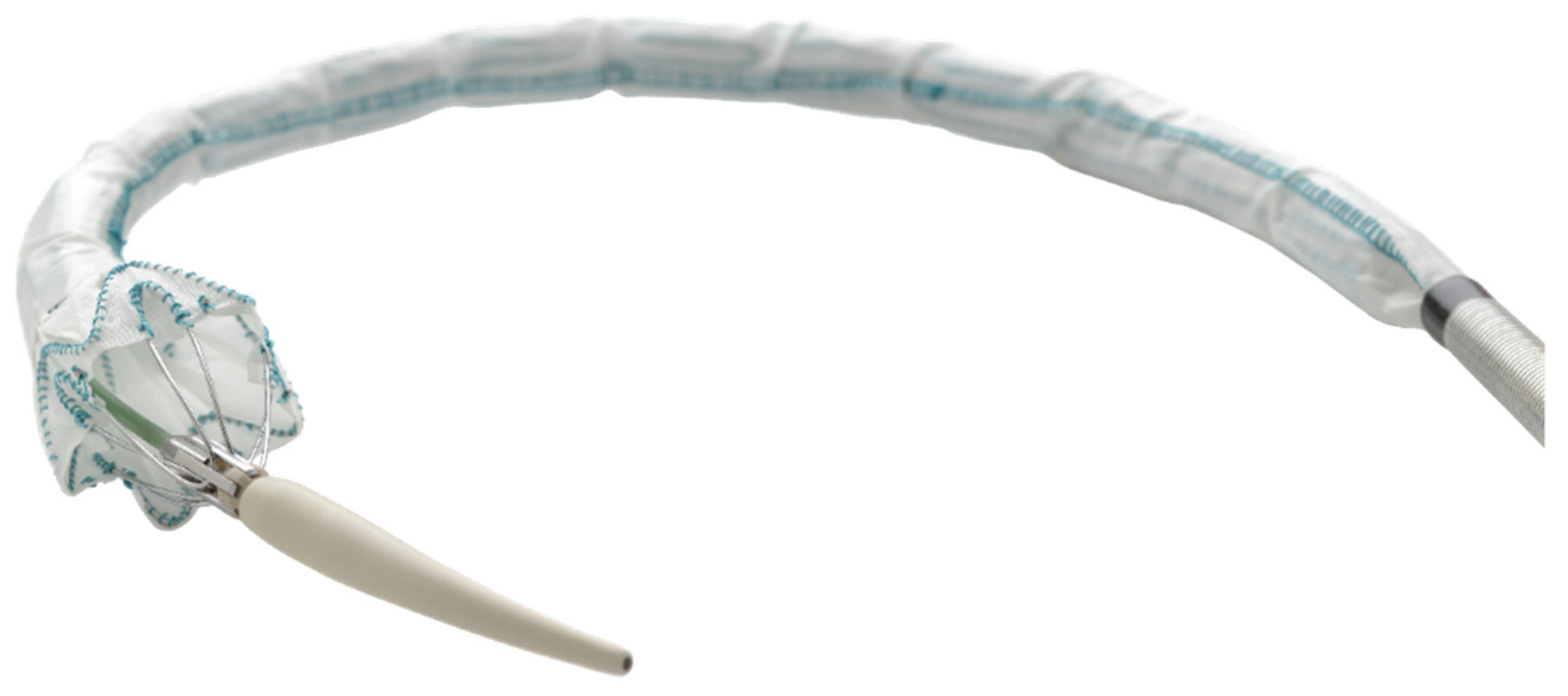 Antibiotics 10 01446 g002