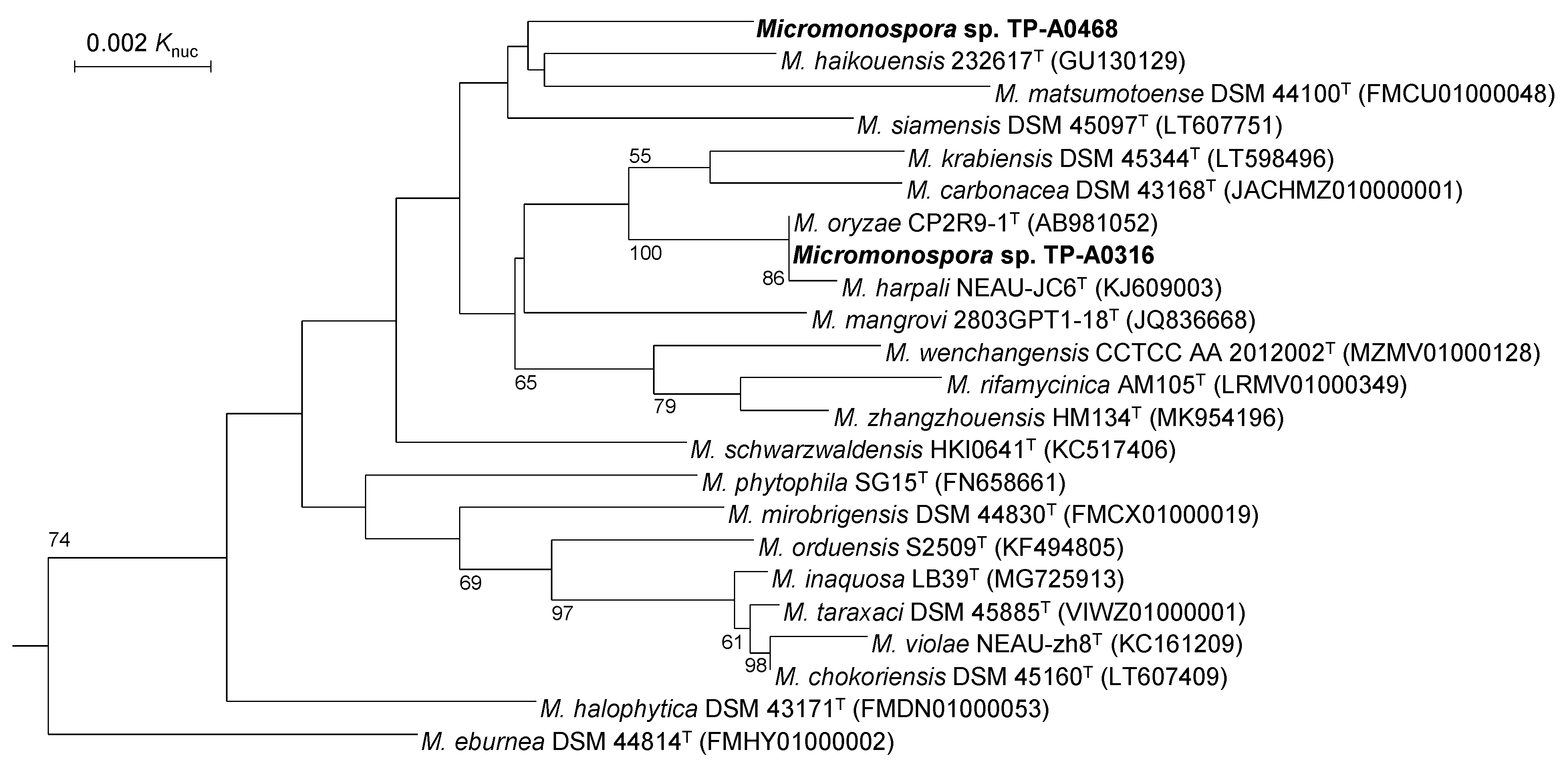 Antibiotics 10 01447 g002 Antibiotics 10 01447 g002