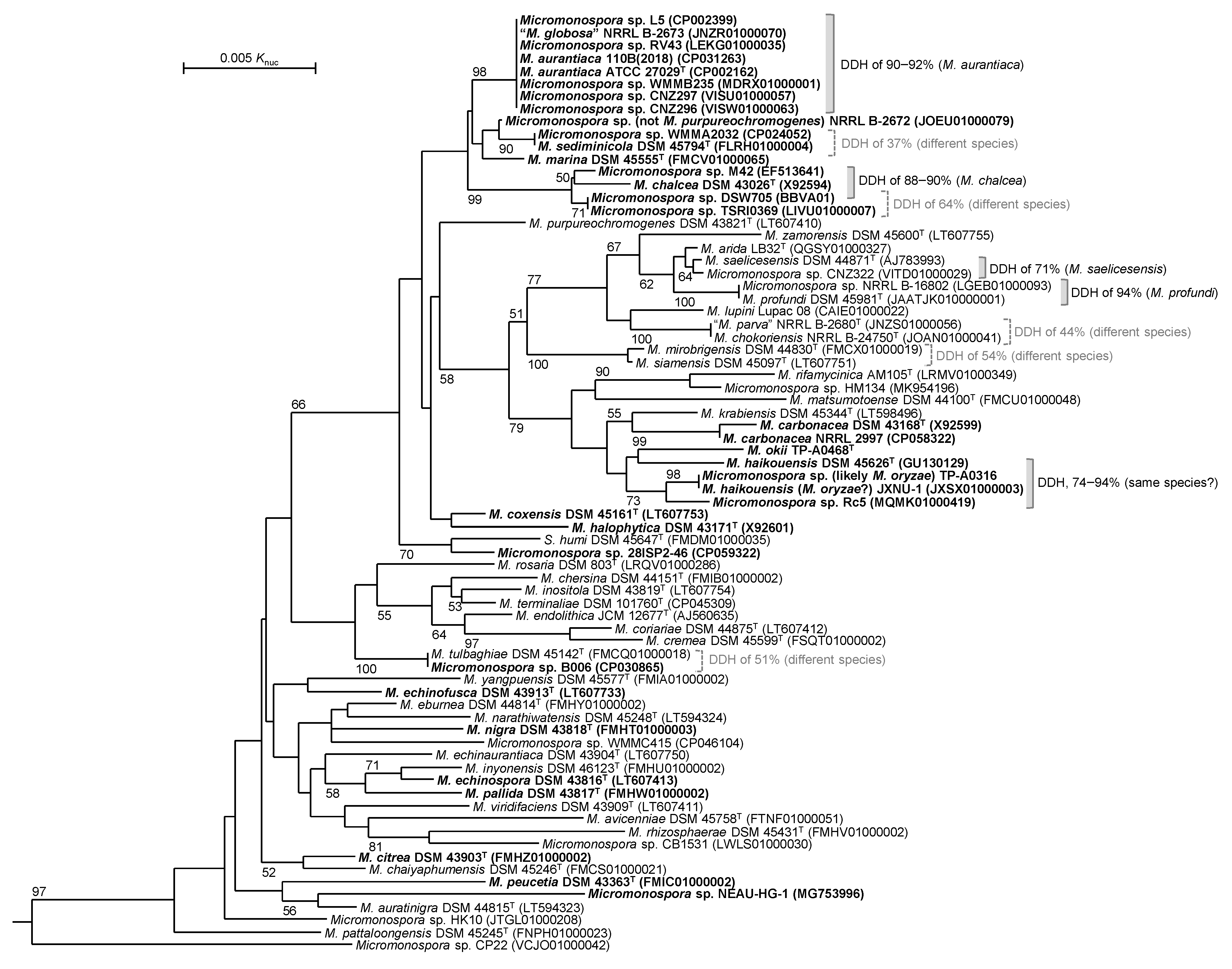 Antibiotics 10 01447 g006 Antibiotics 10 01447 g006