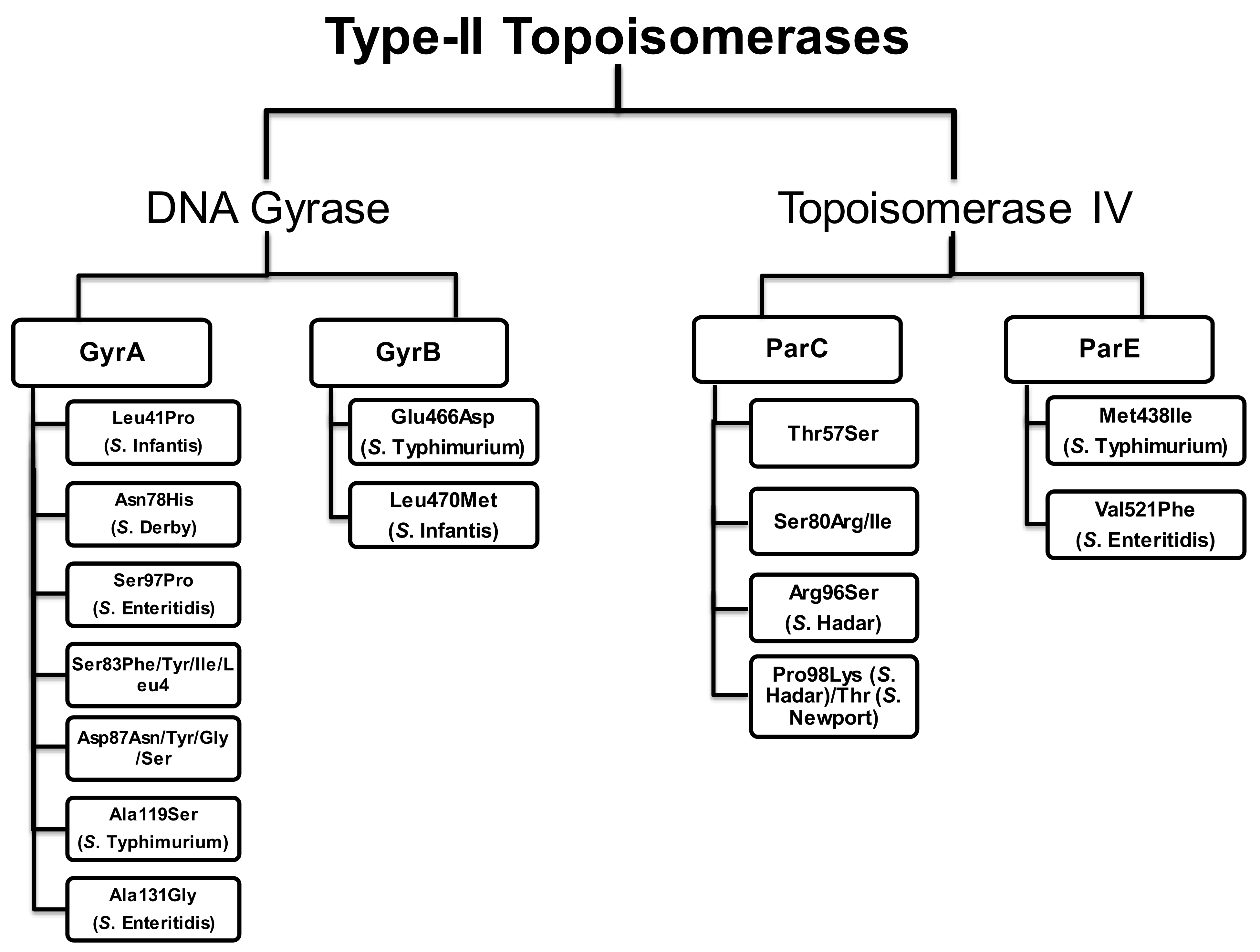 Antibiotics 10 01455 g008 Antibiotics 10 01455 g008
