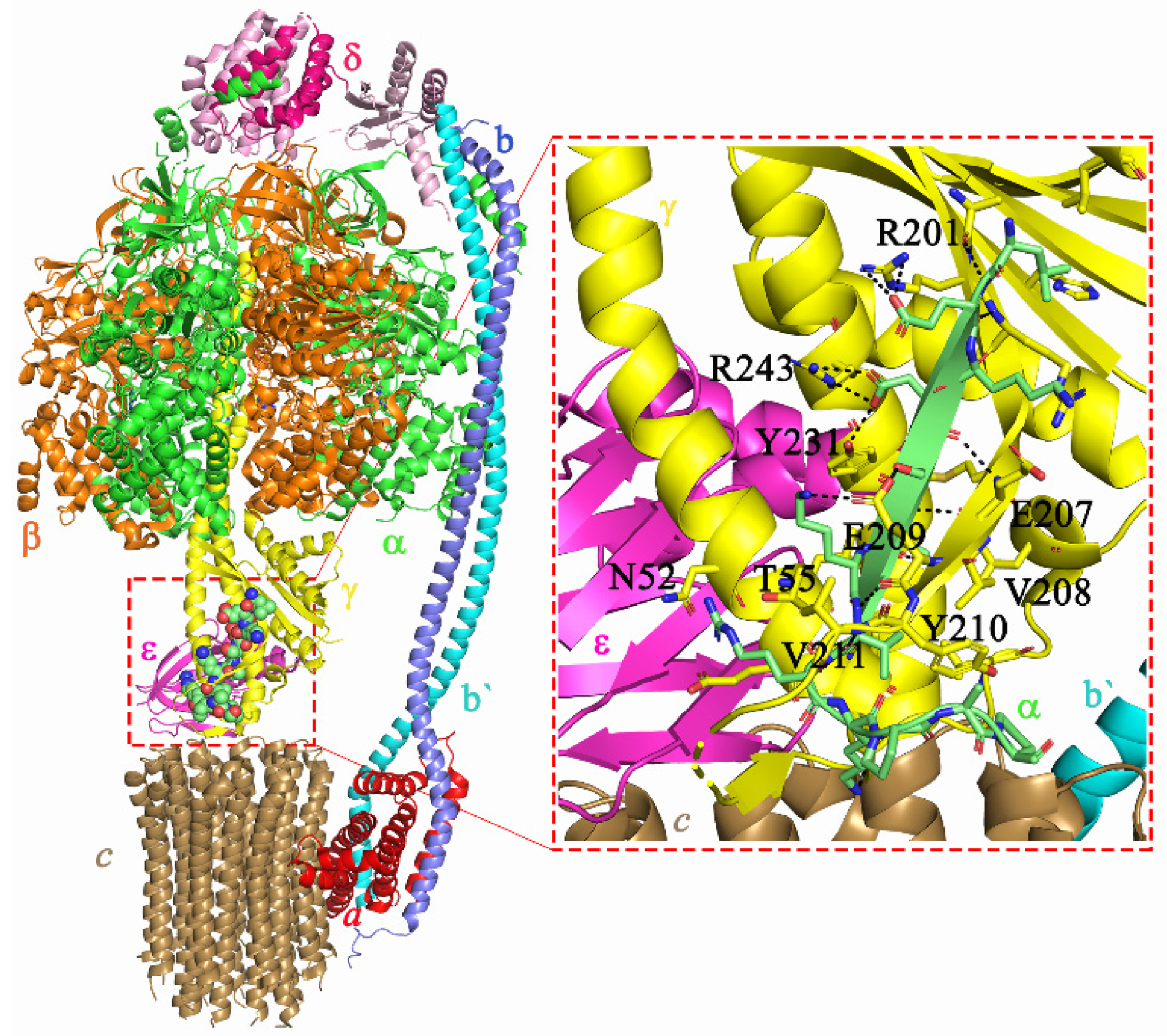 Antibiotics 10 01456 g001