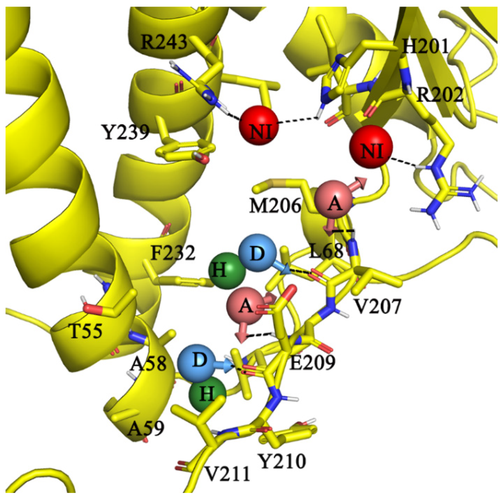 Antibiotics 10 01456 g002