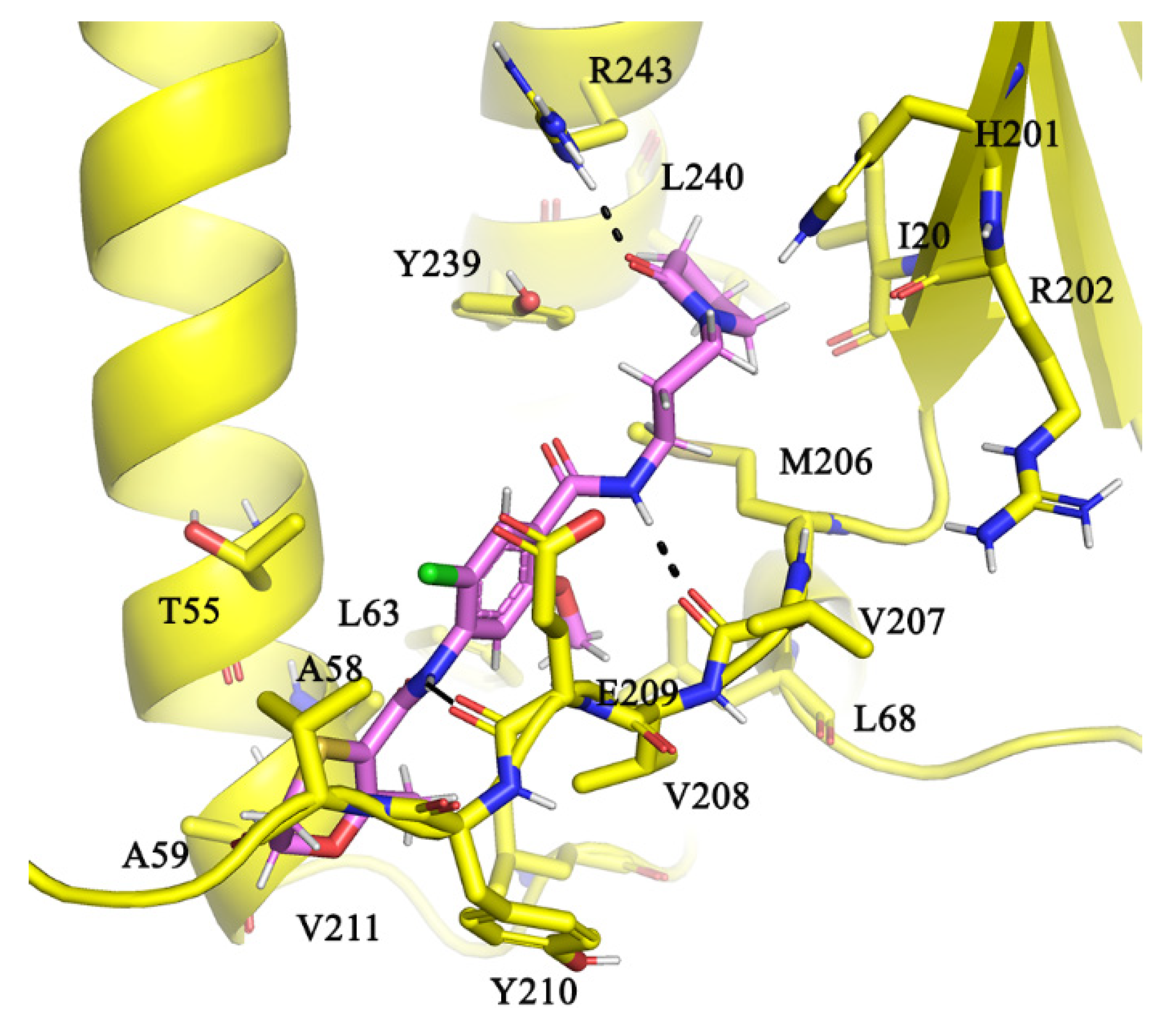 Antibiotics 10 01456 g004