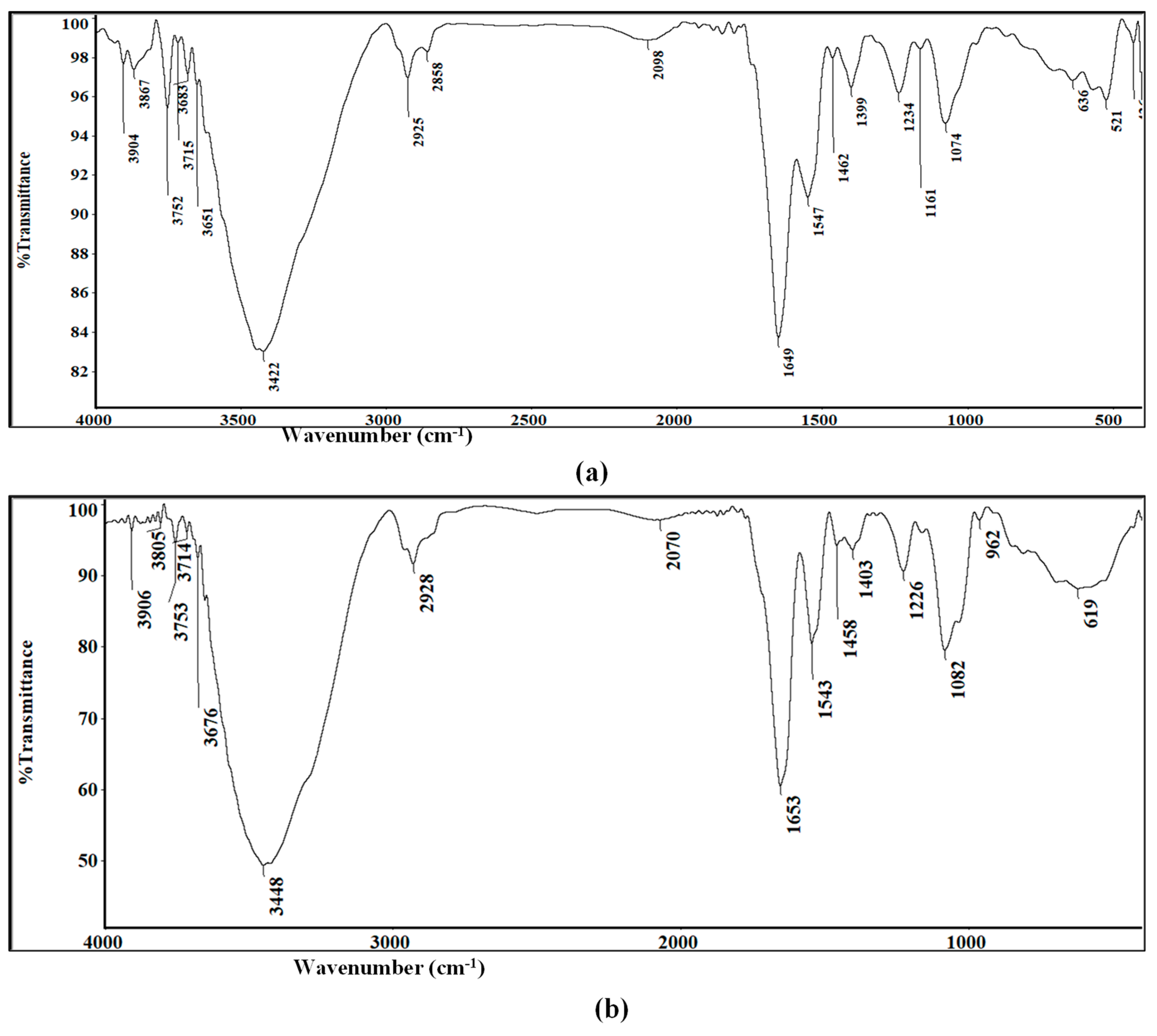 Antibiotics 10 01461 g005