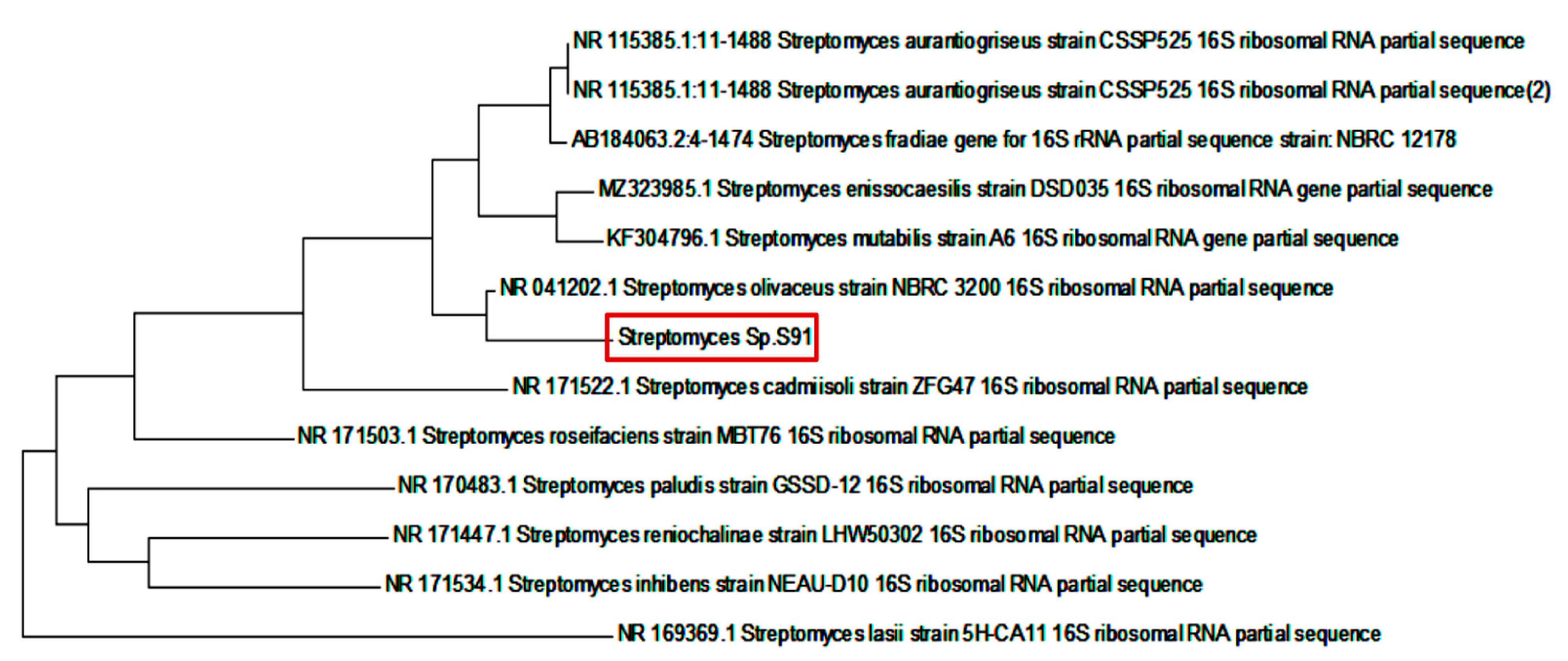 Antibiotics 10 01461 g006