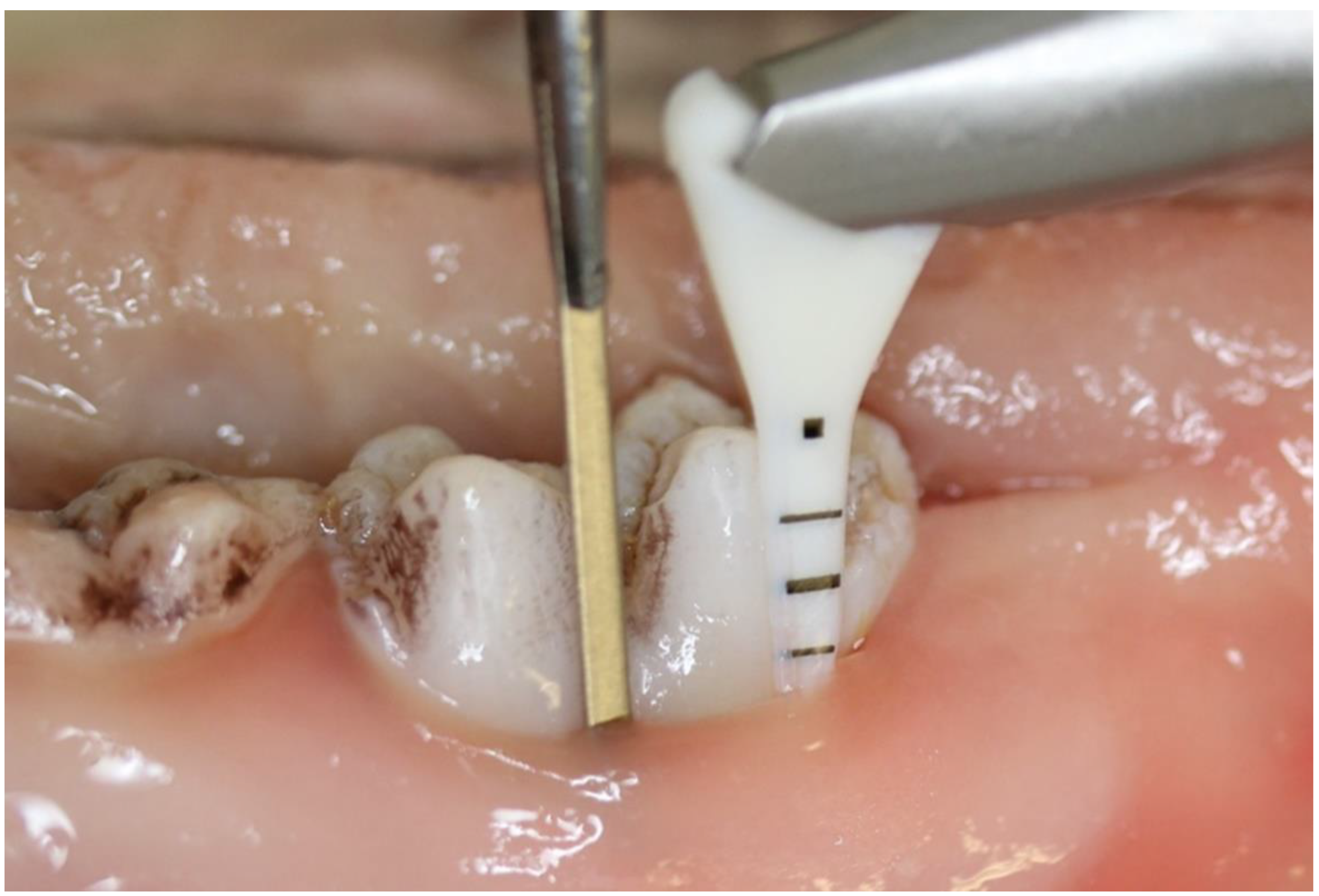 Antibiotics 10 01464 g001