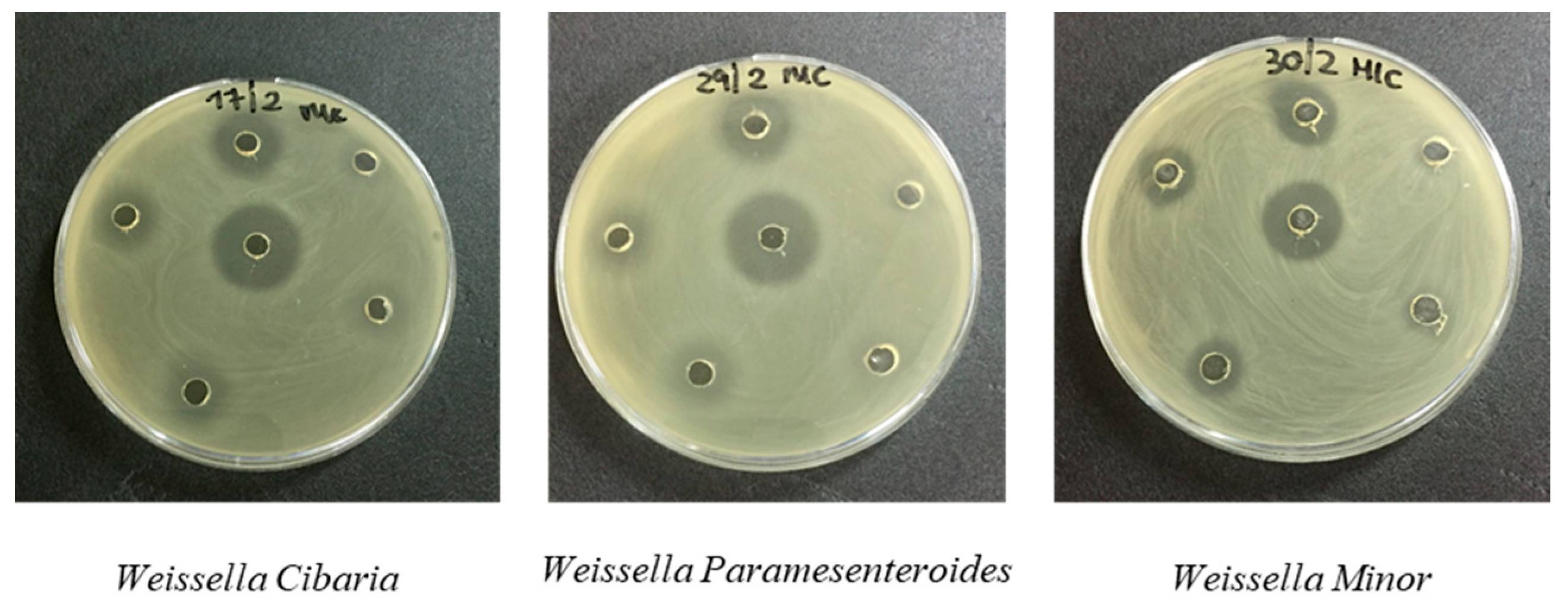 Antibiotics 10 01466 g001