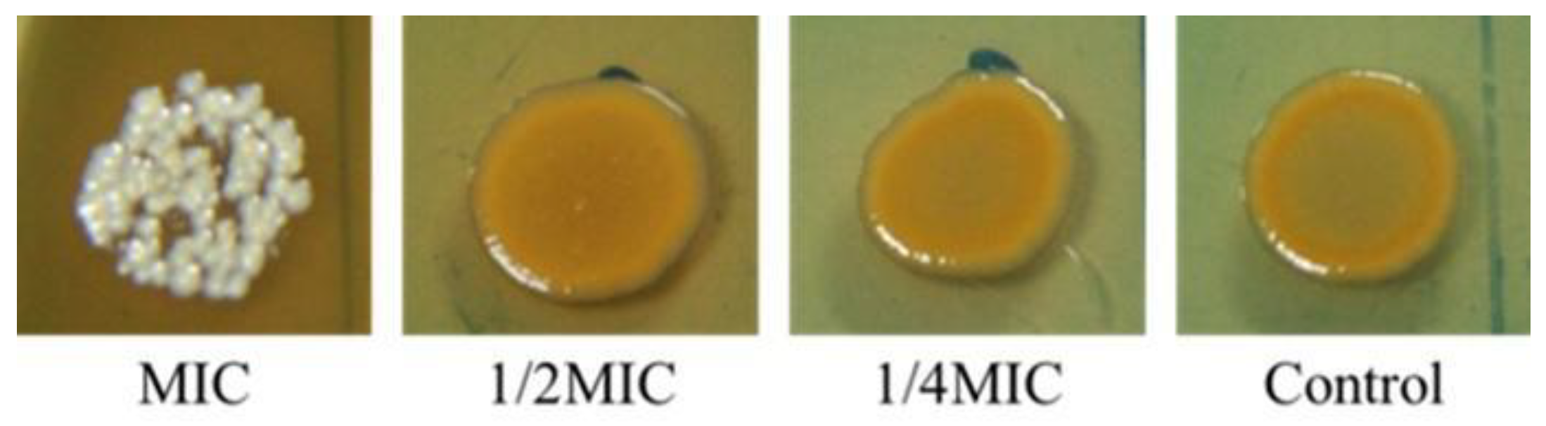 Antibiotics 10 01470 g003