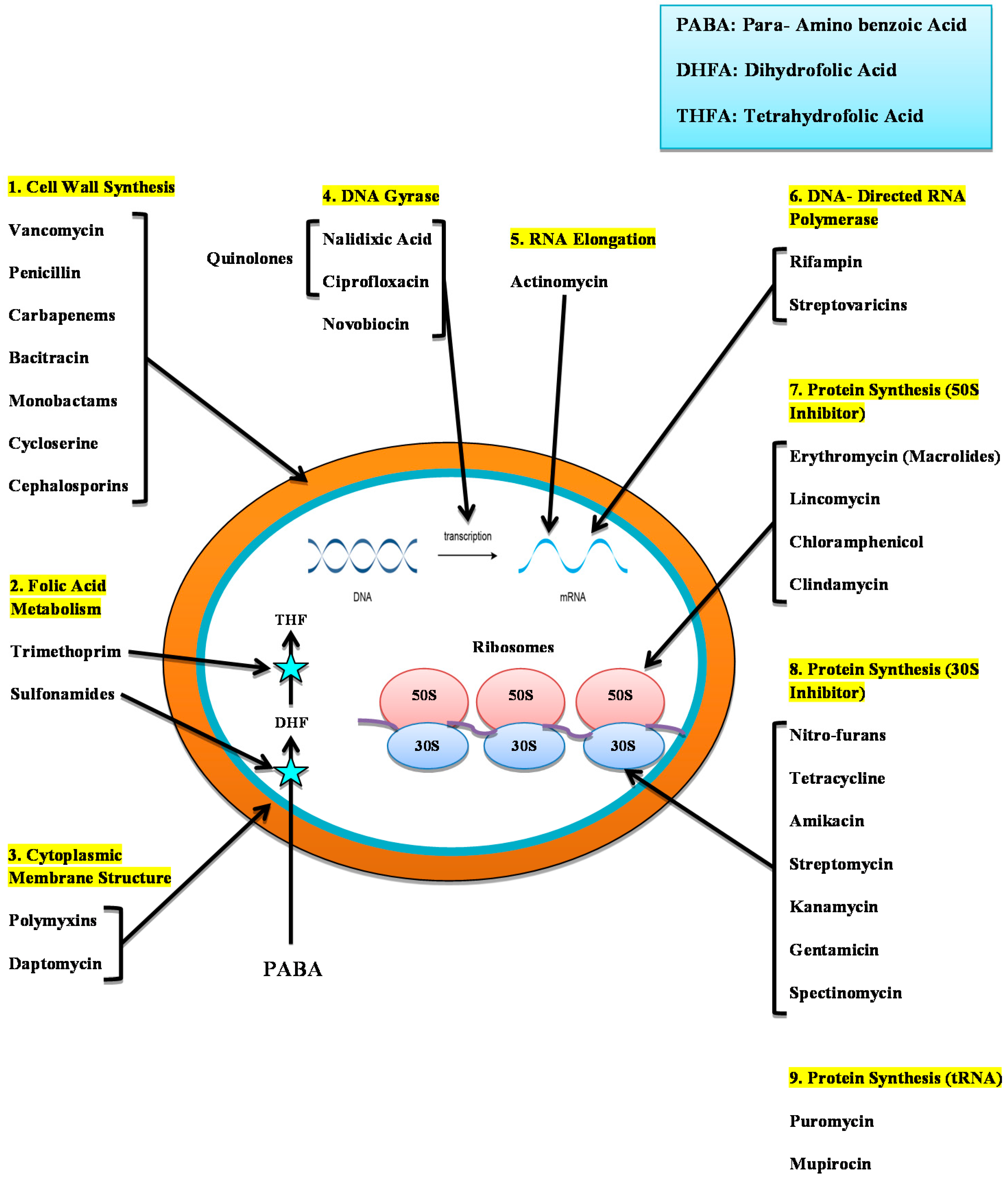Antibiotics 10 01473 g002 Antibiotics 10 01473 g002