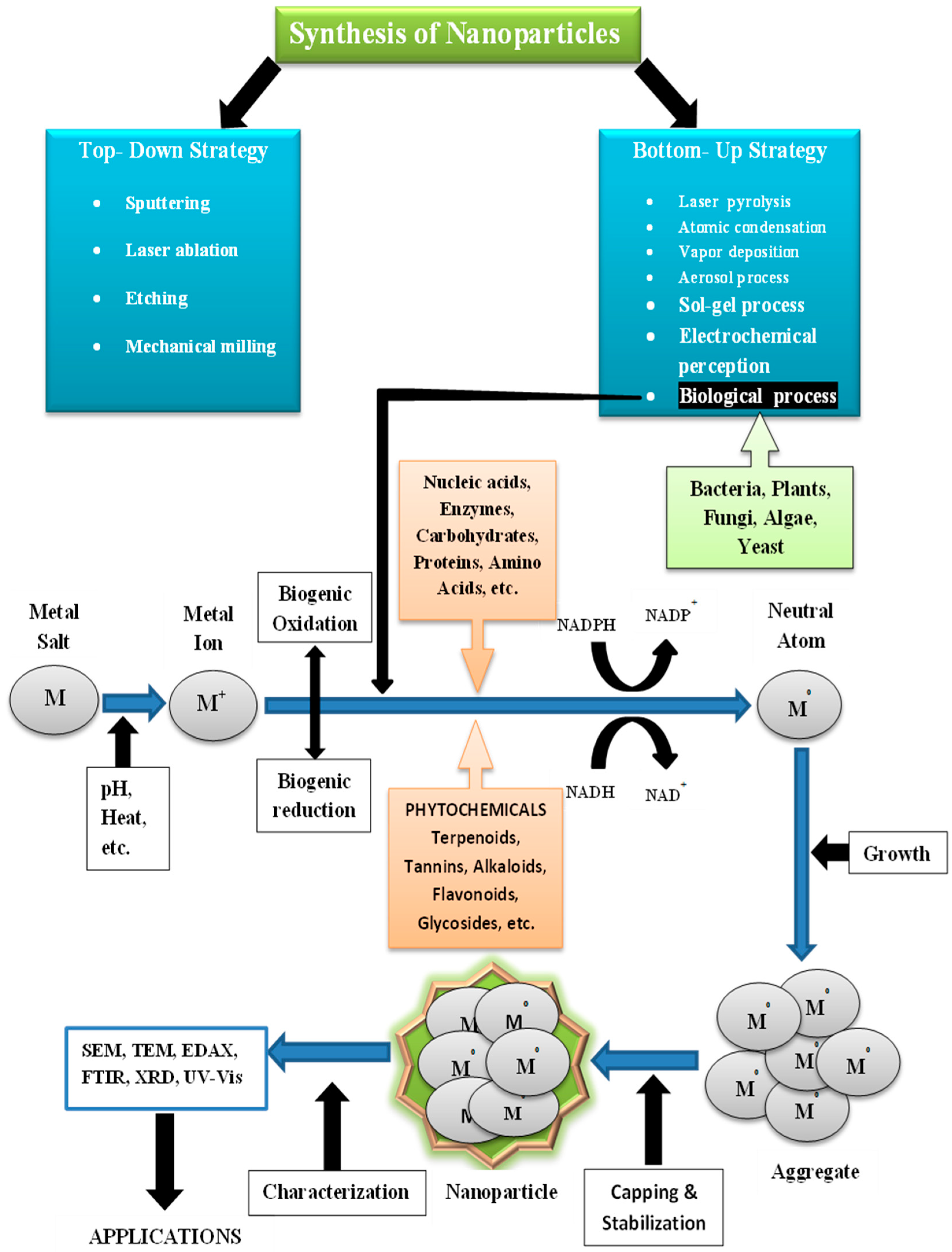 Antibiotics 10 01473 g006 Antibiotics 10 01473 g006