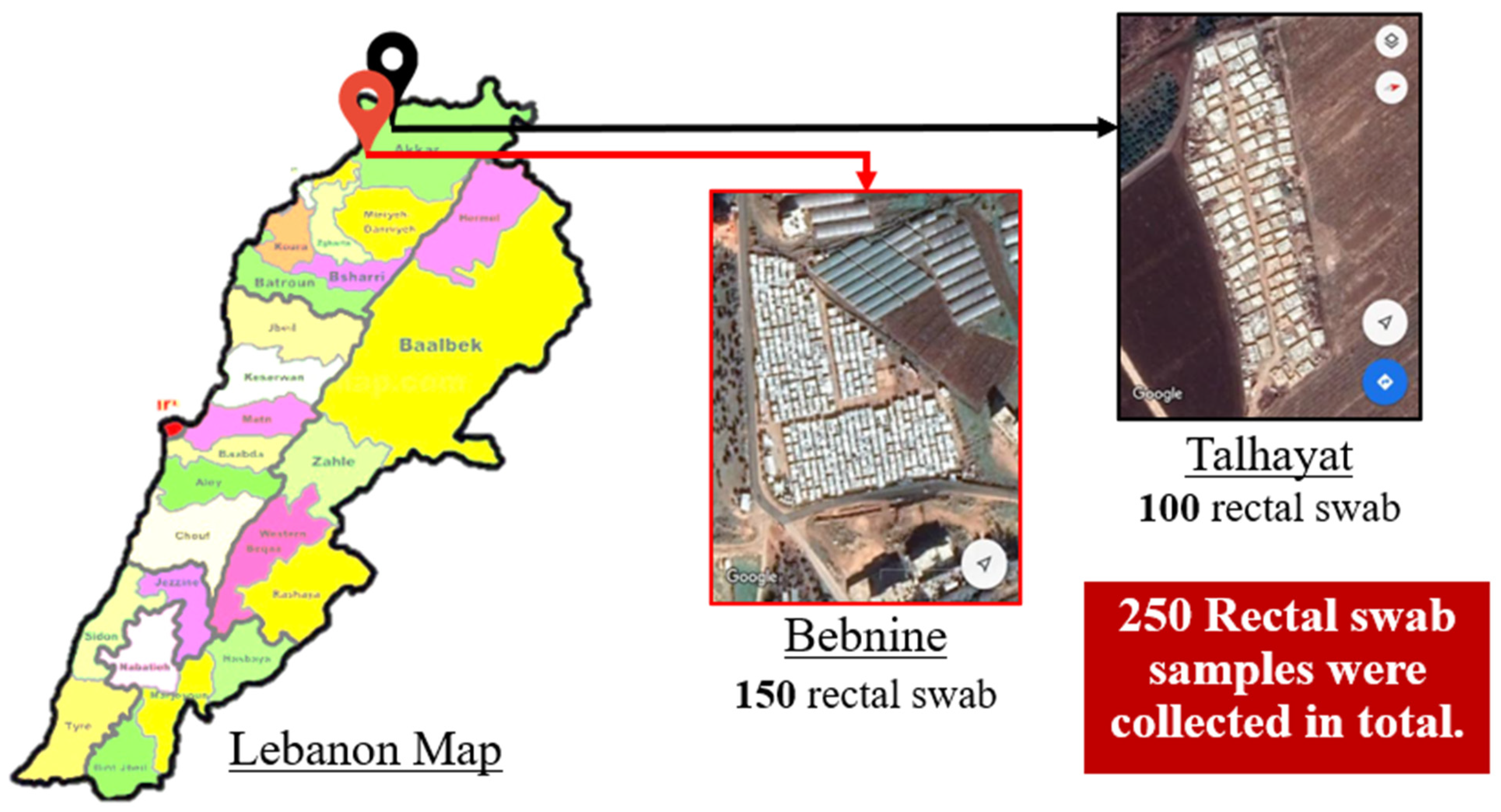 Antibiotics 10 01478 g001