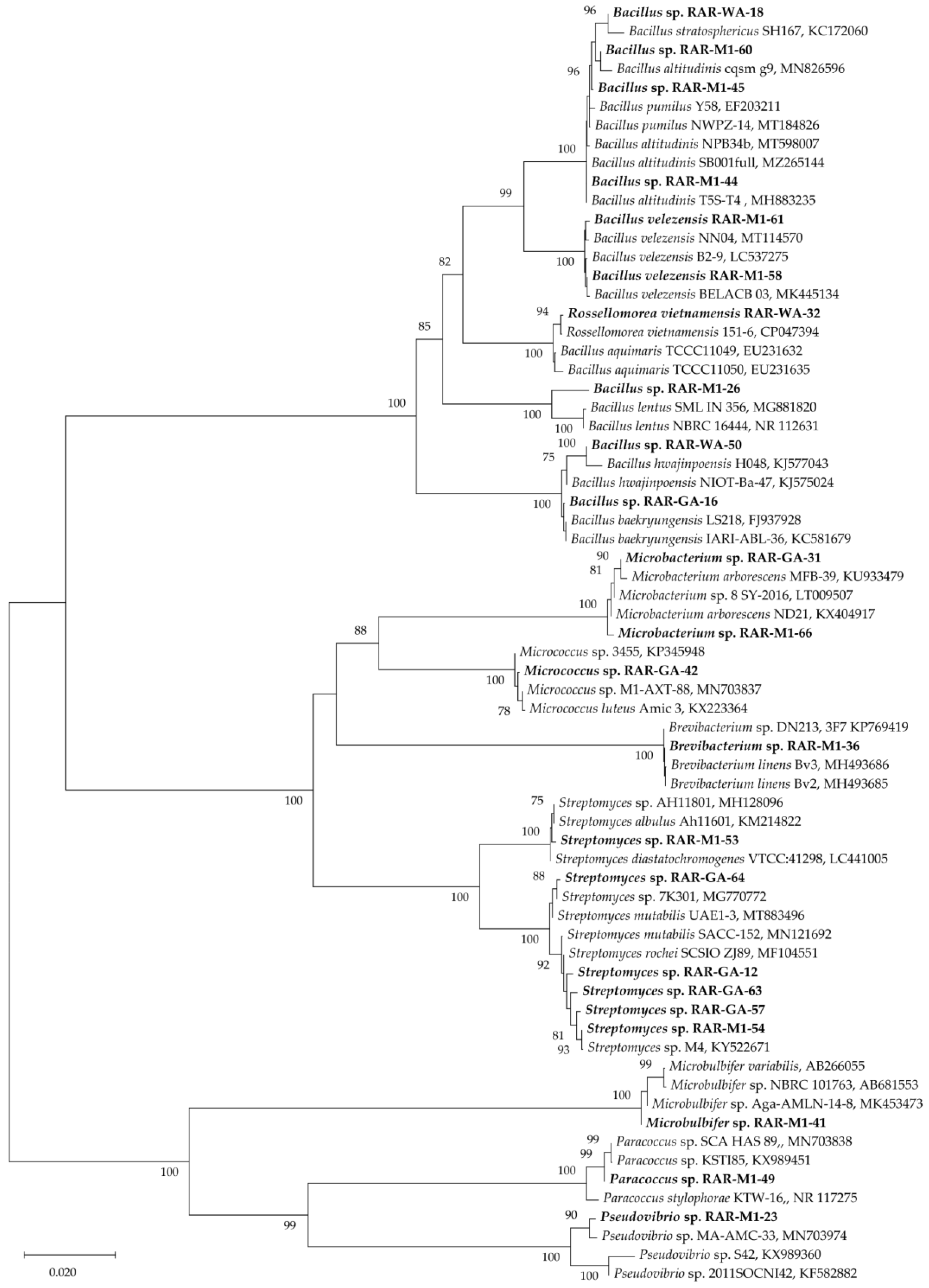 Antibiotics 10 01491 g002 Antibiotics 10 01491 g002