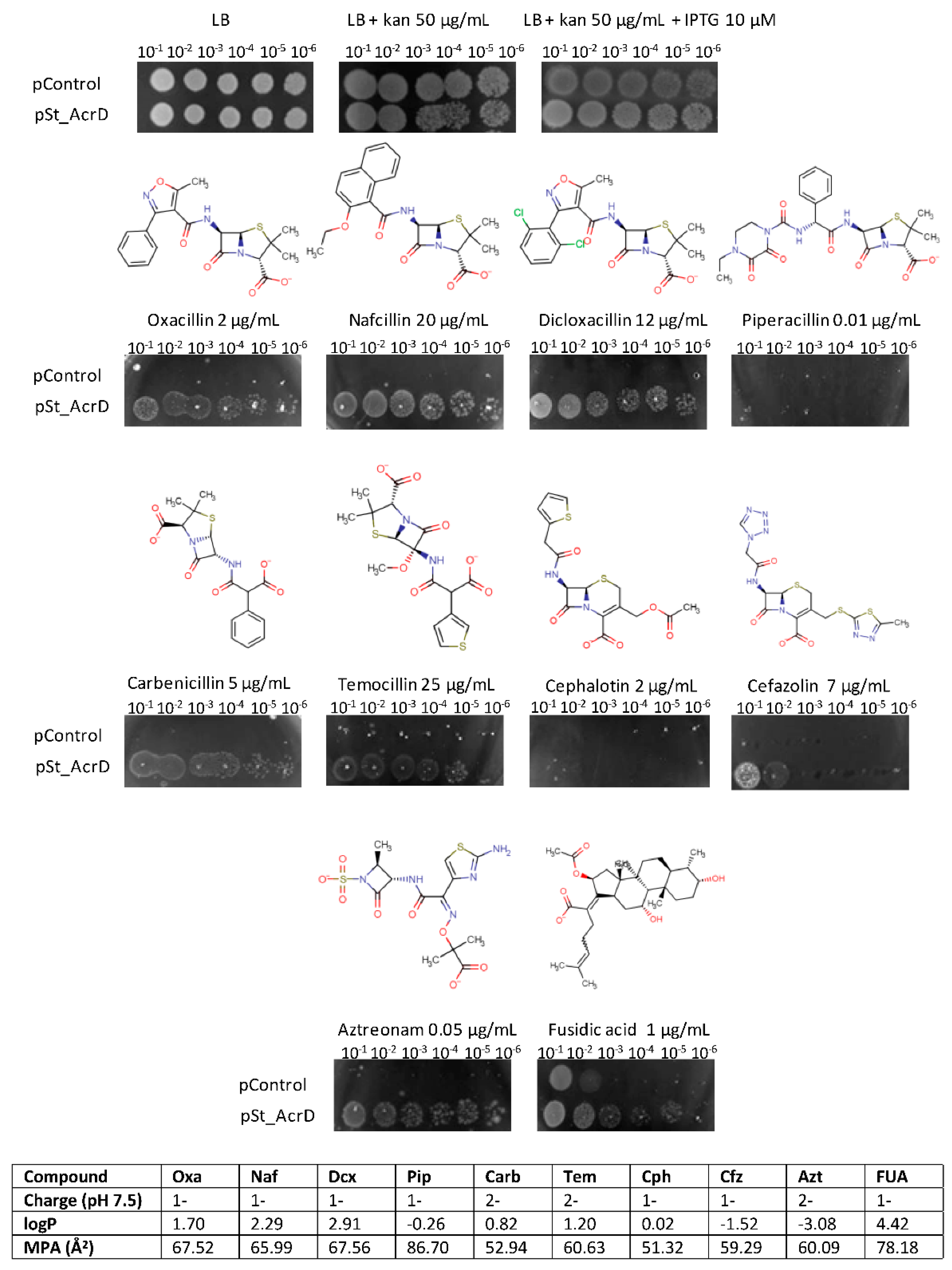 Antibiotics 10 01494 g001 Antibiotics 10 01494 g001