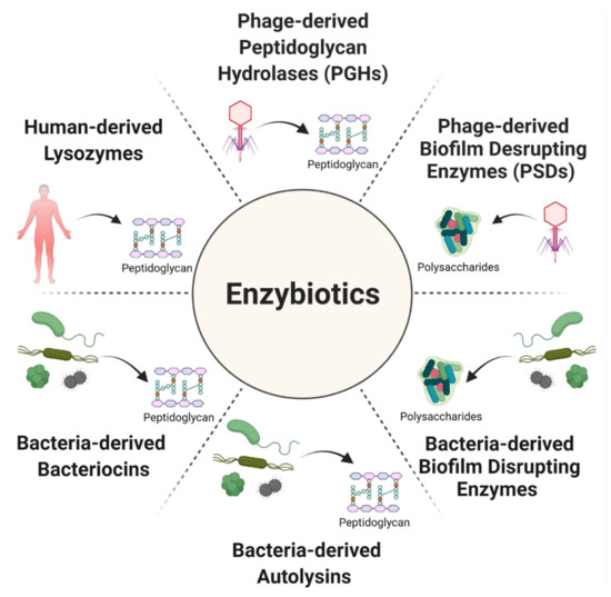 Taming Staphylococcus aureus in the eczema skin microbiome