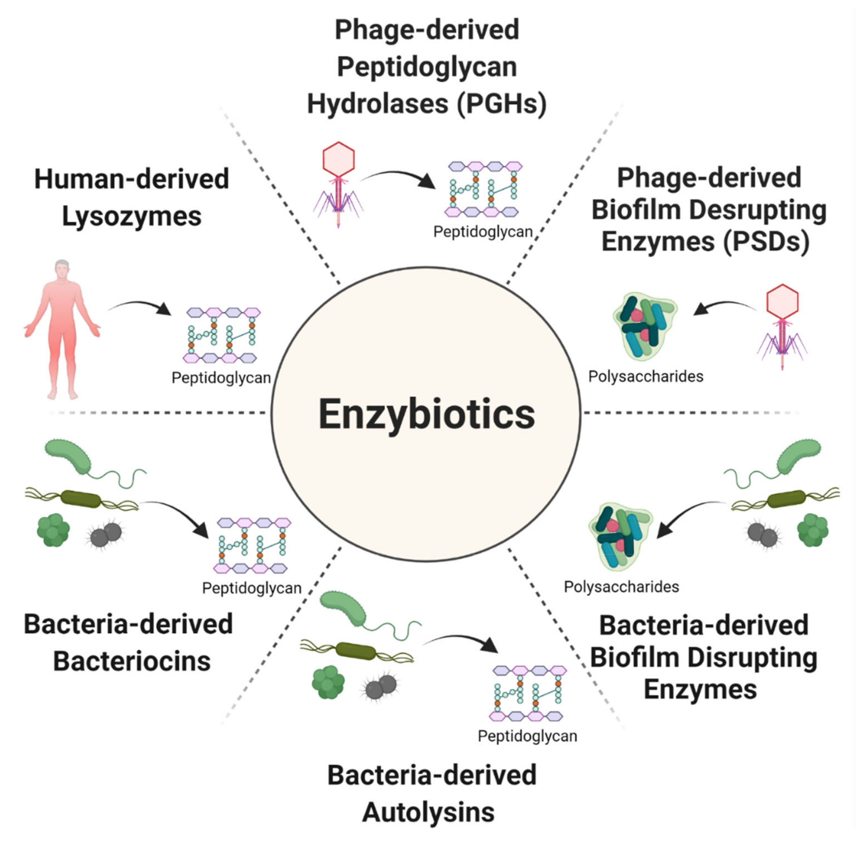 Antibiotics 10 01497 g001 Antibiotics 10 01497 g001