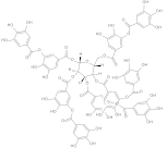 Antibiotics 10 01502 i023