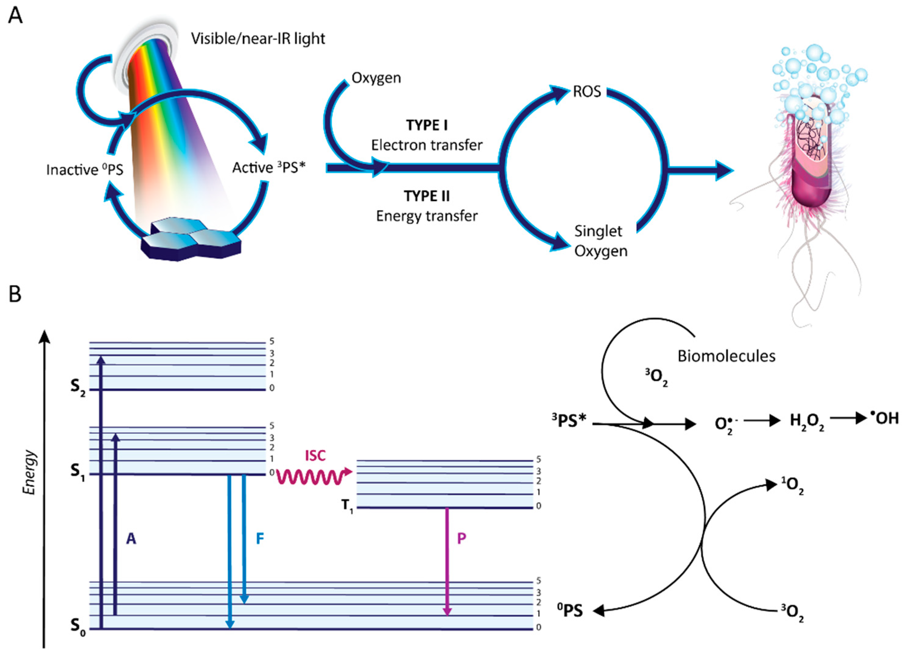 Antibiotics 10 01505 g001