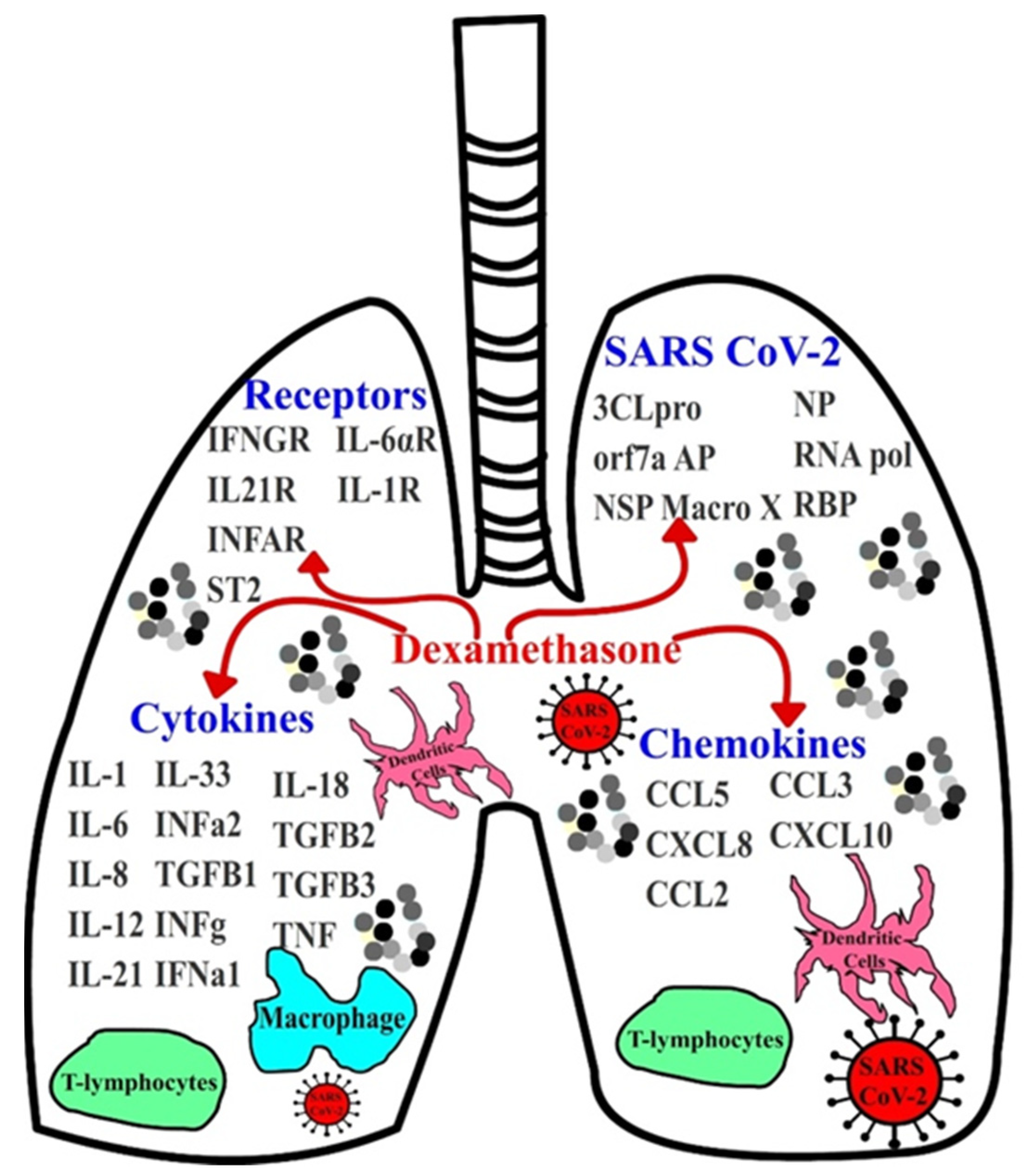 Antibiotics 10 01507 g001
