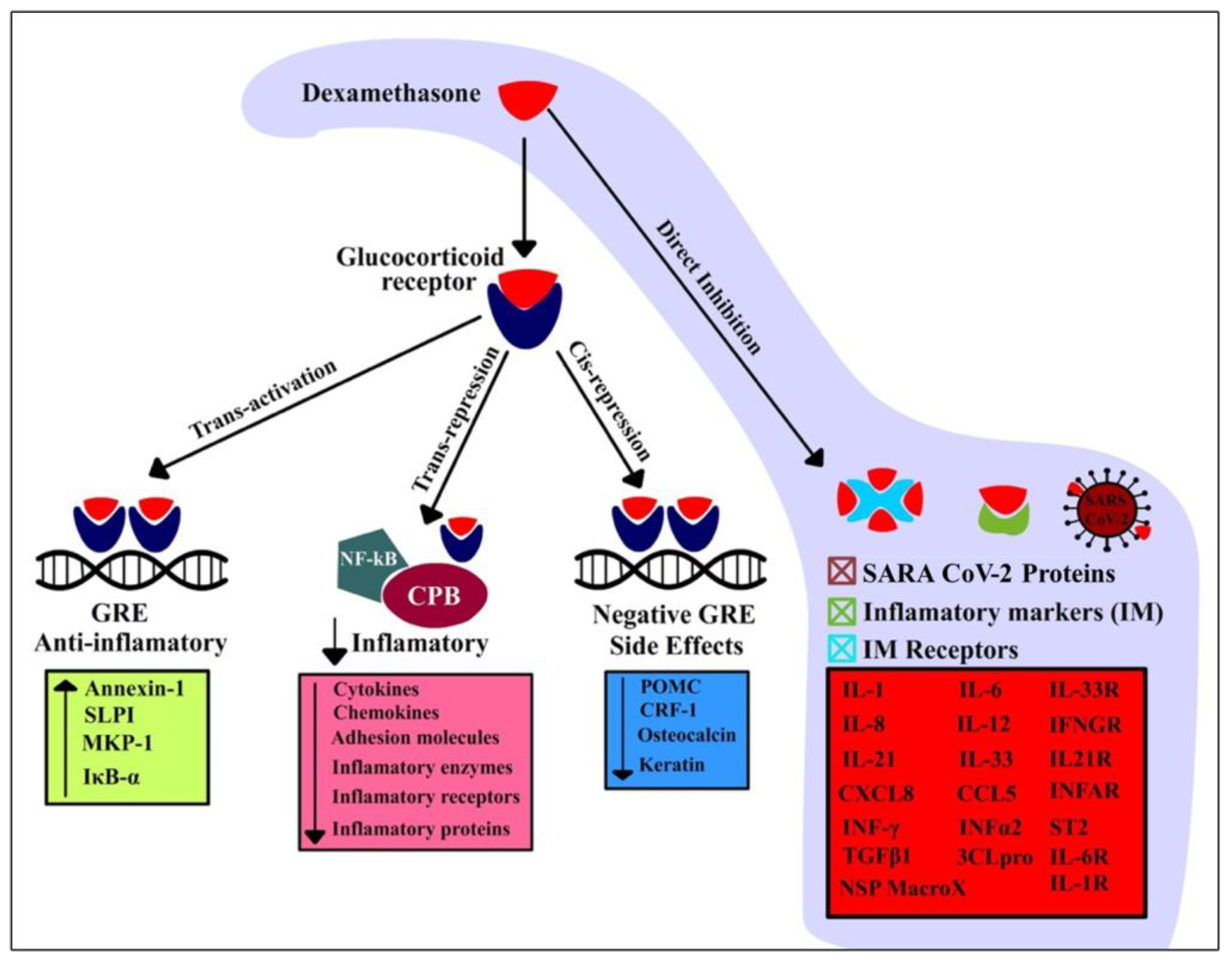 Antibiotics 10 01507 g005