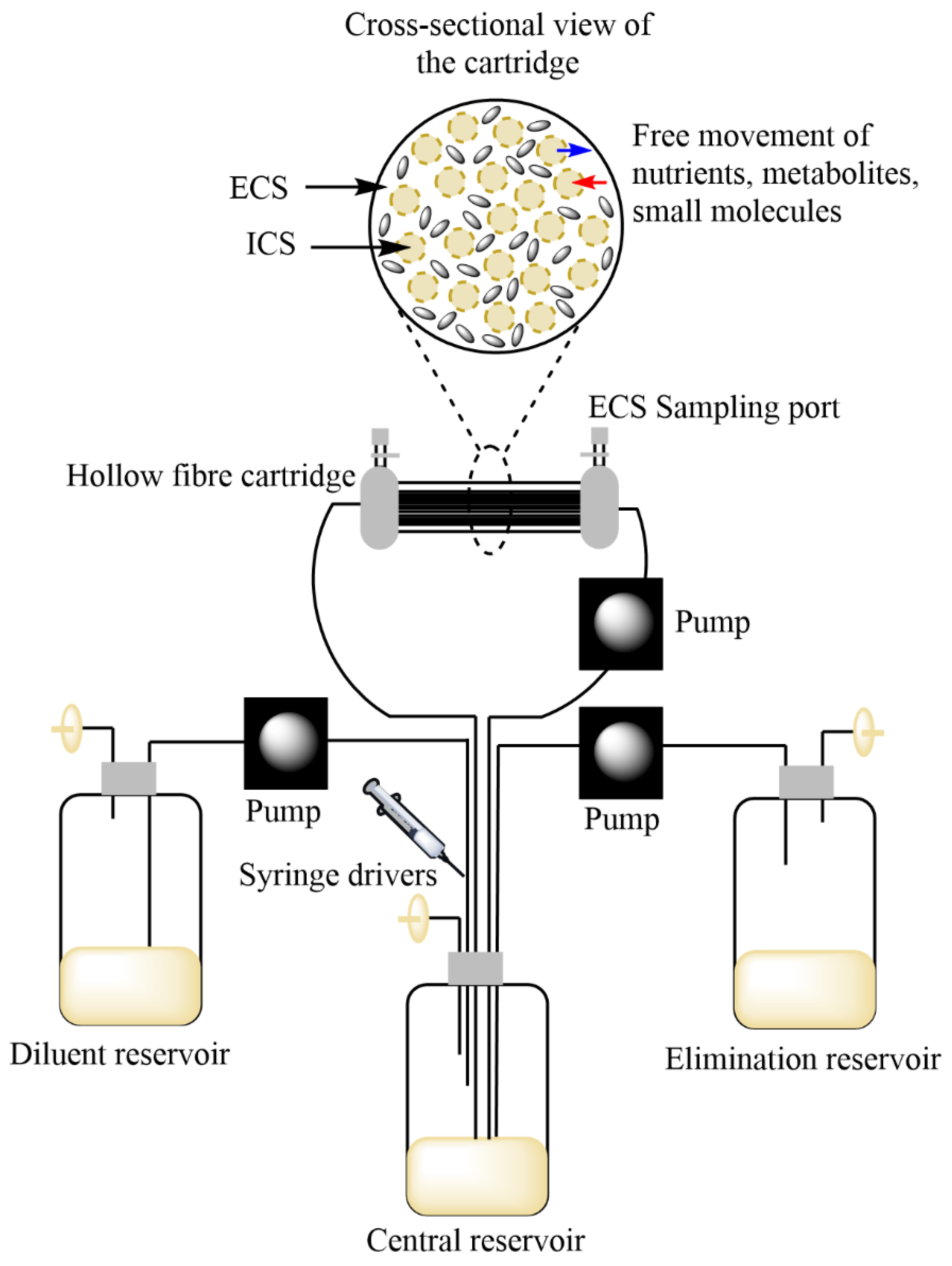 Antibiotics 10 01515 g001 Antibiotics 10 01515 g001