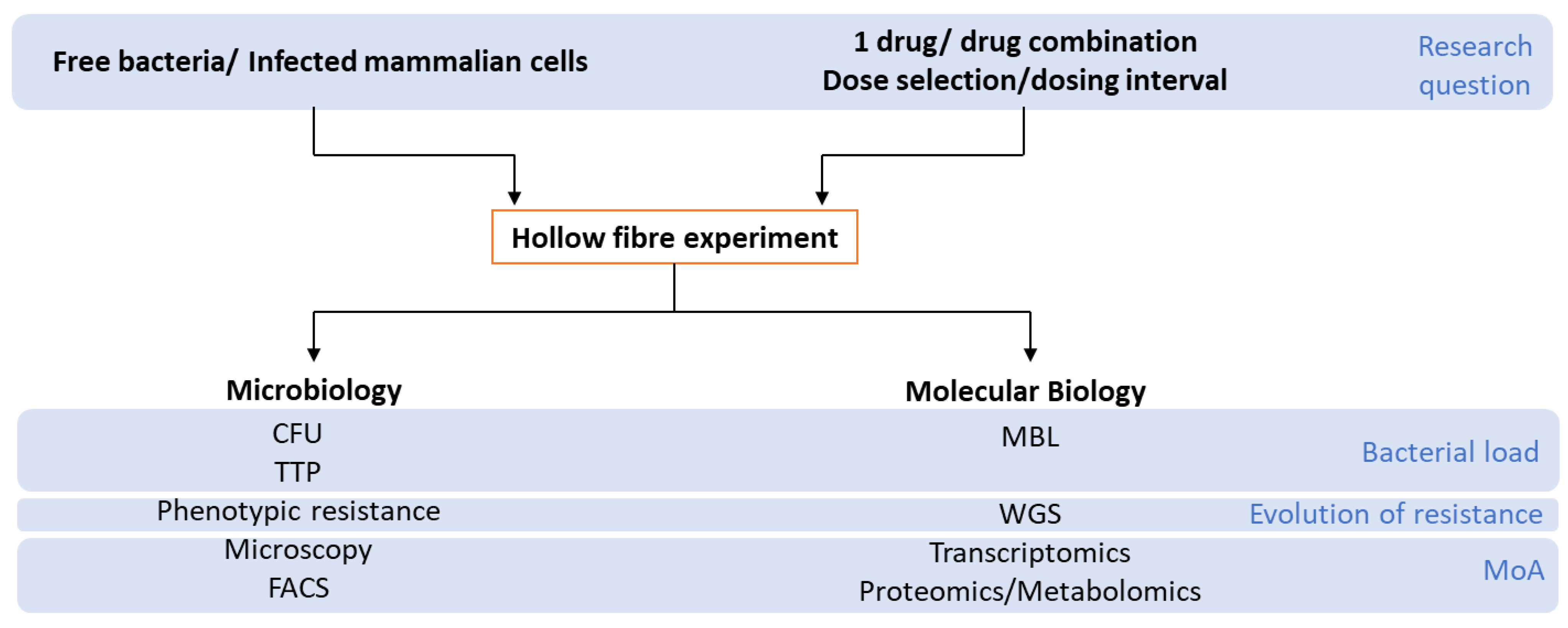 Antibiotics 10 01515 g002 Antibiotics 10 01515 g002