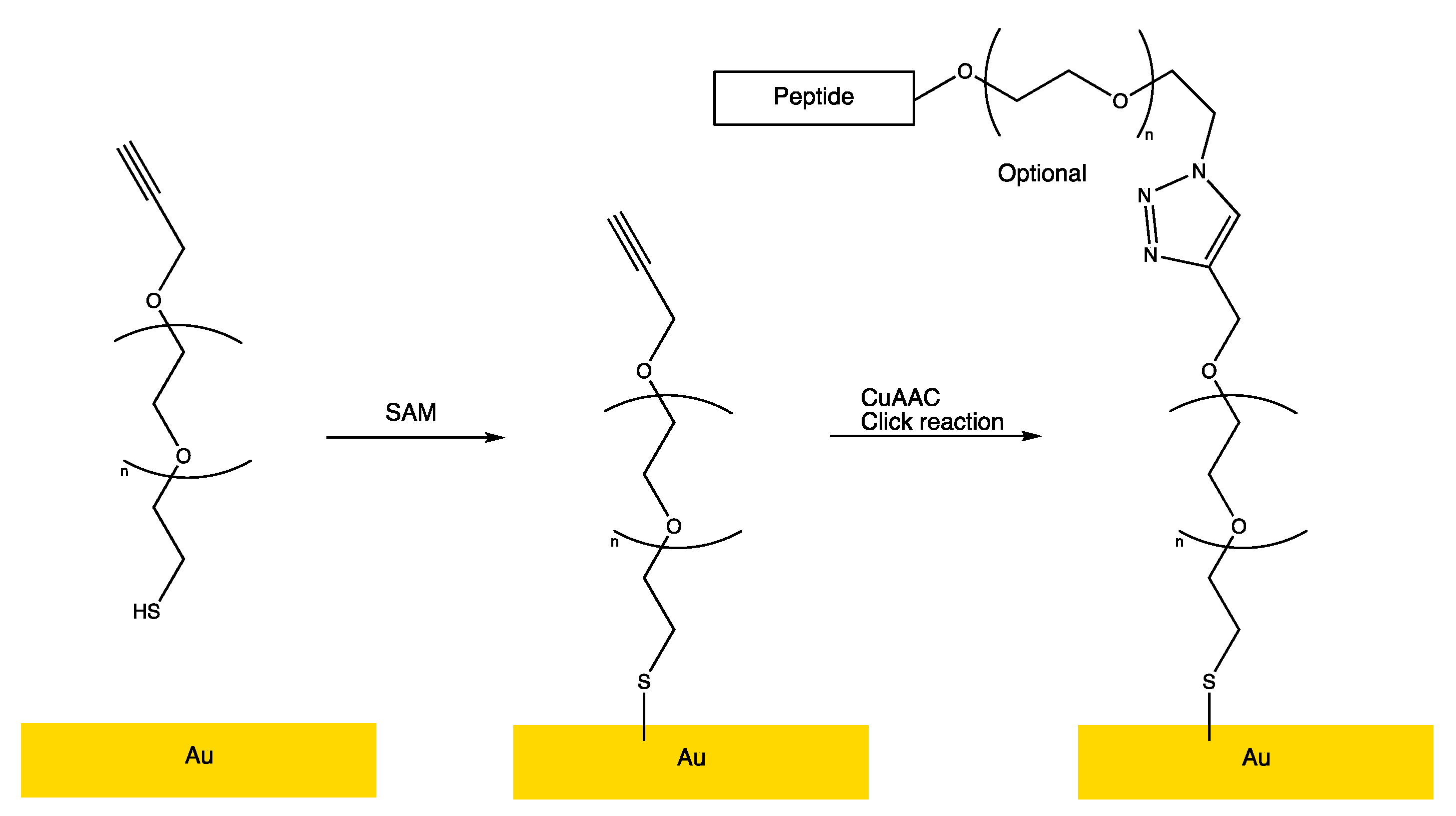 Antibiotics 10 01516 g002