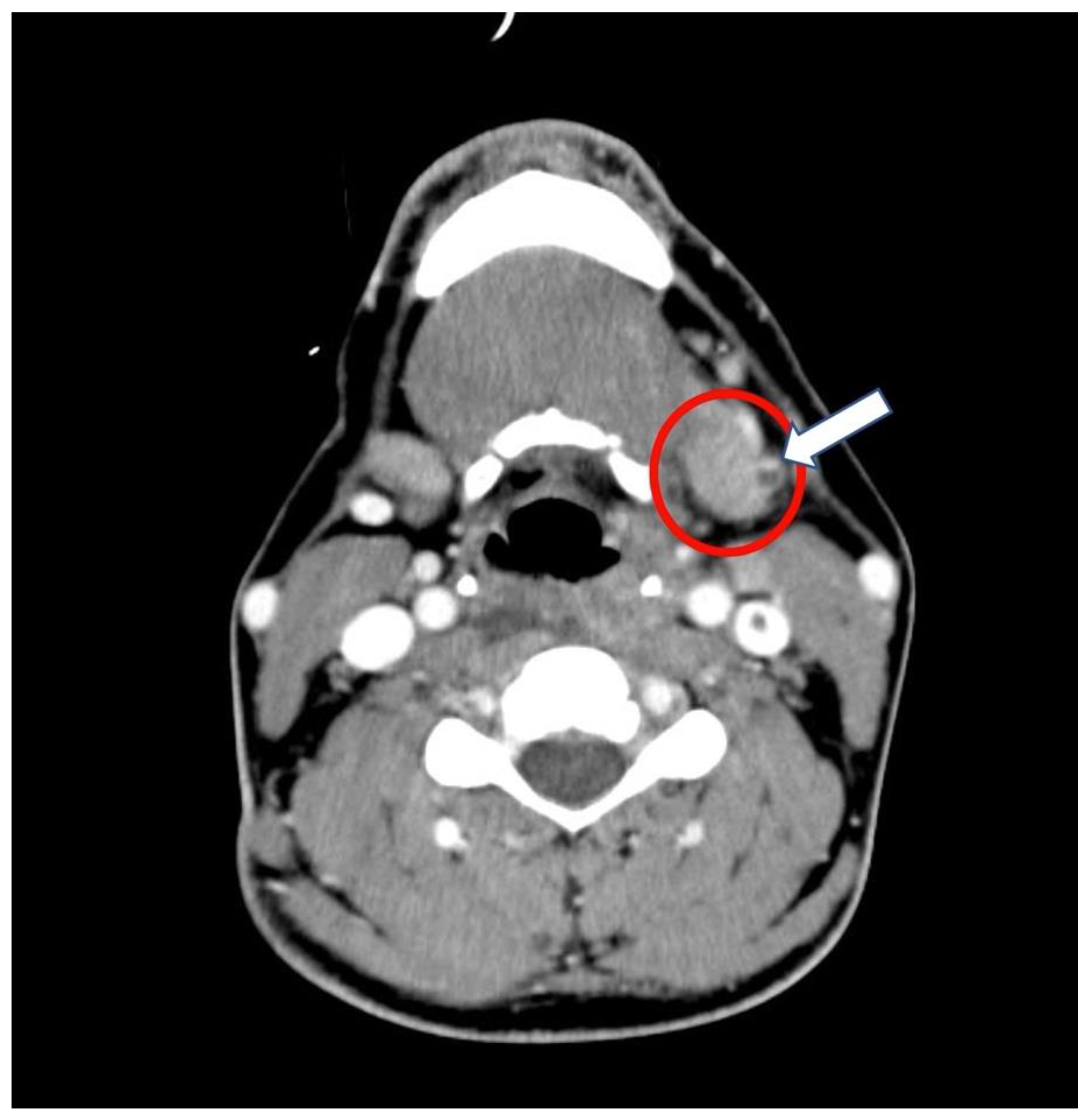 Antibiotics 10 01526 g002 550