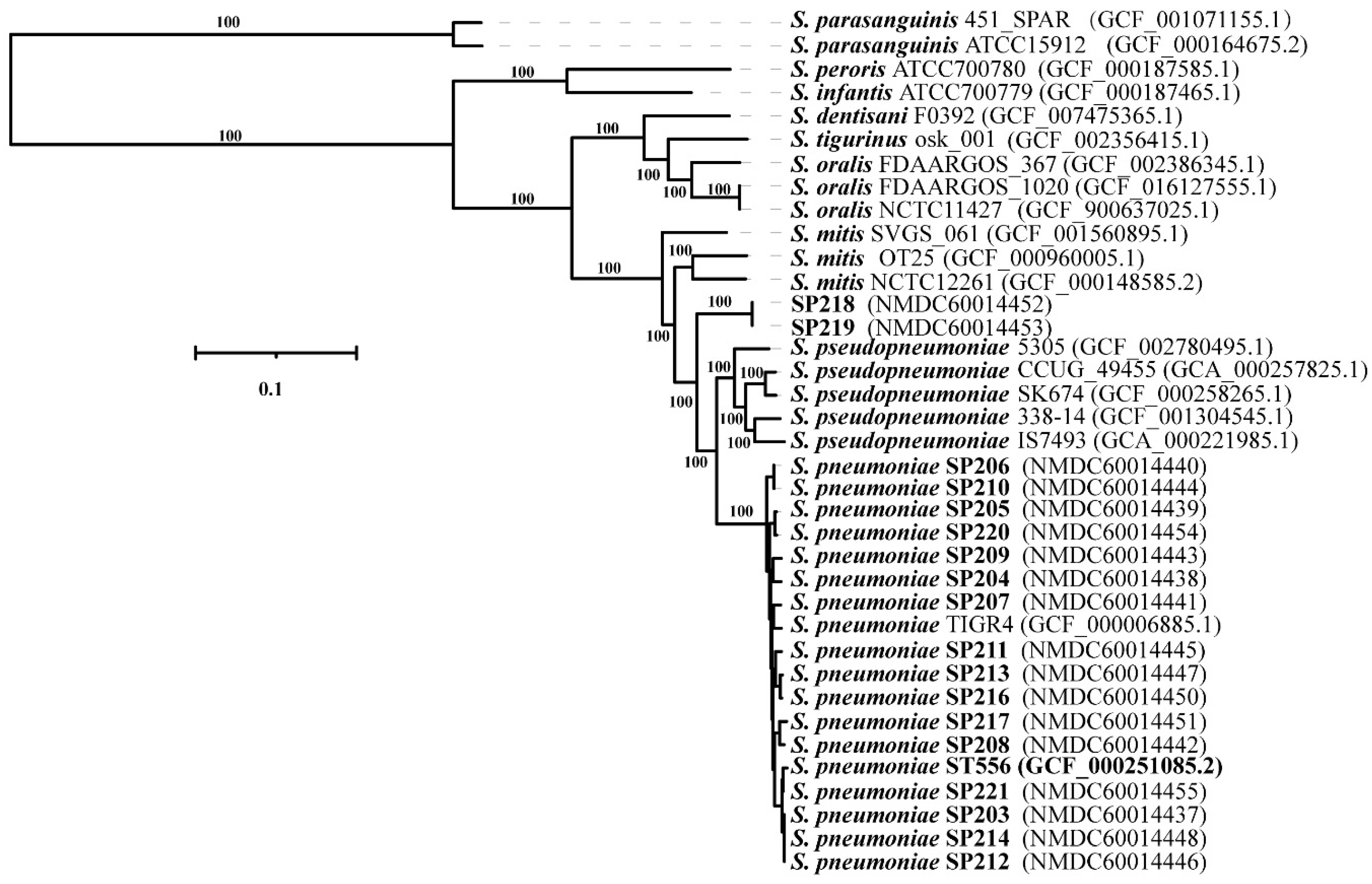Antibiotics 10 01532 g001 Antibiotics 10 01532 g001
