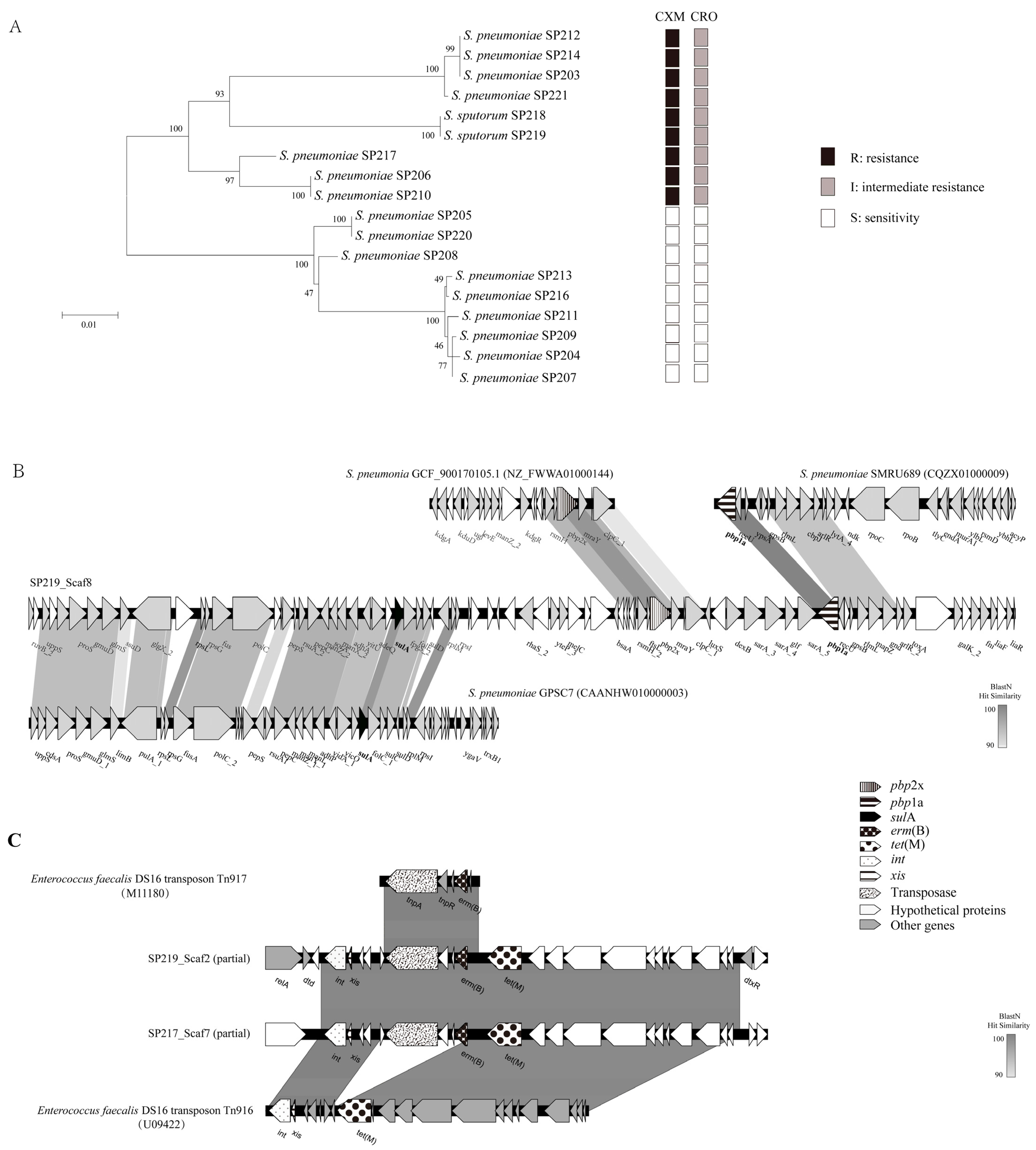 Antibiotics 10 01532 g002 Antibiotics 10 01532 g002