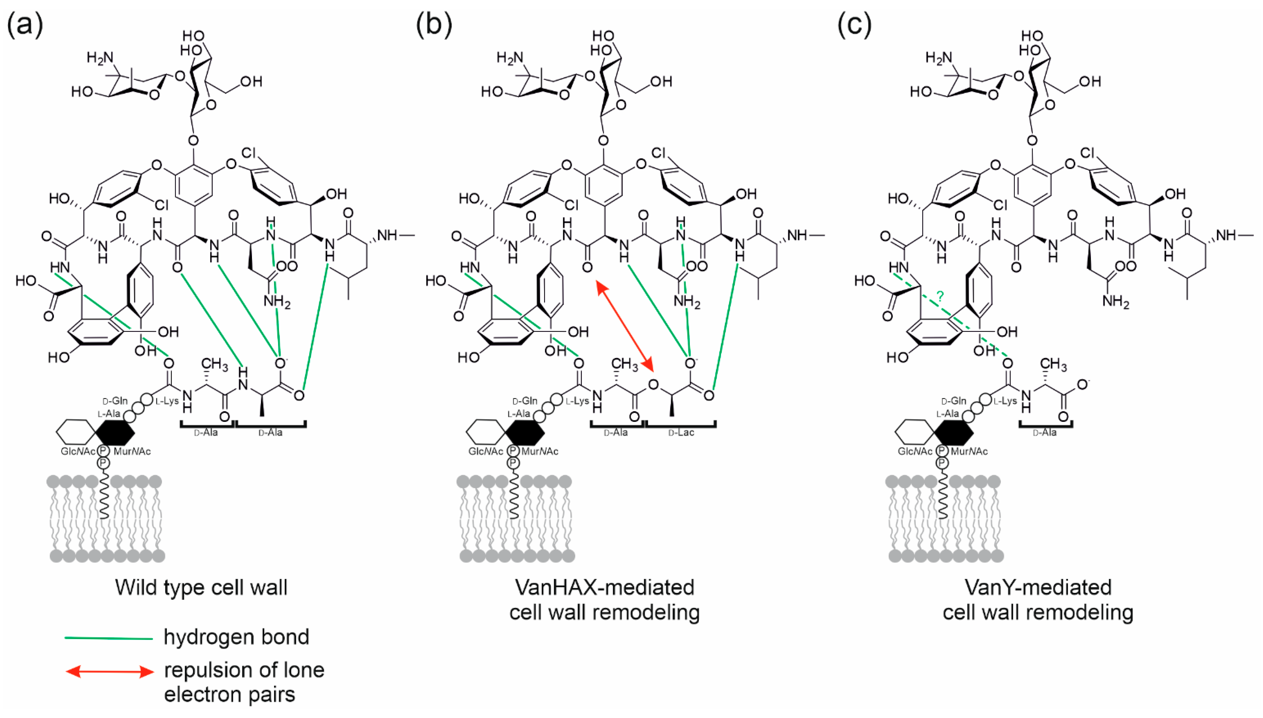 Antibiotics 10 01533 g001 Antibiotics 10 01533 g001