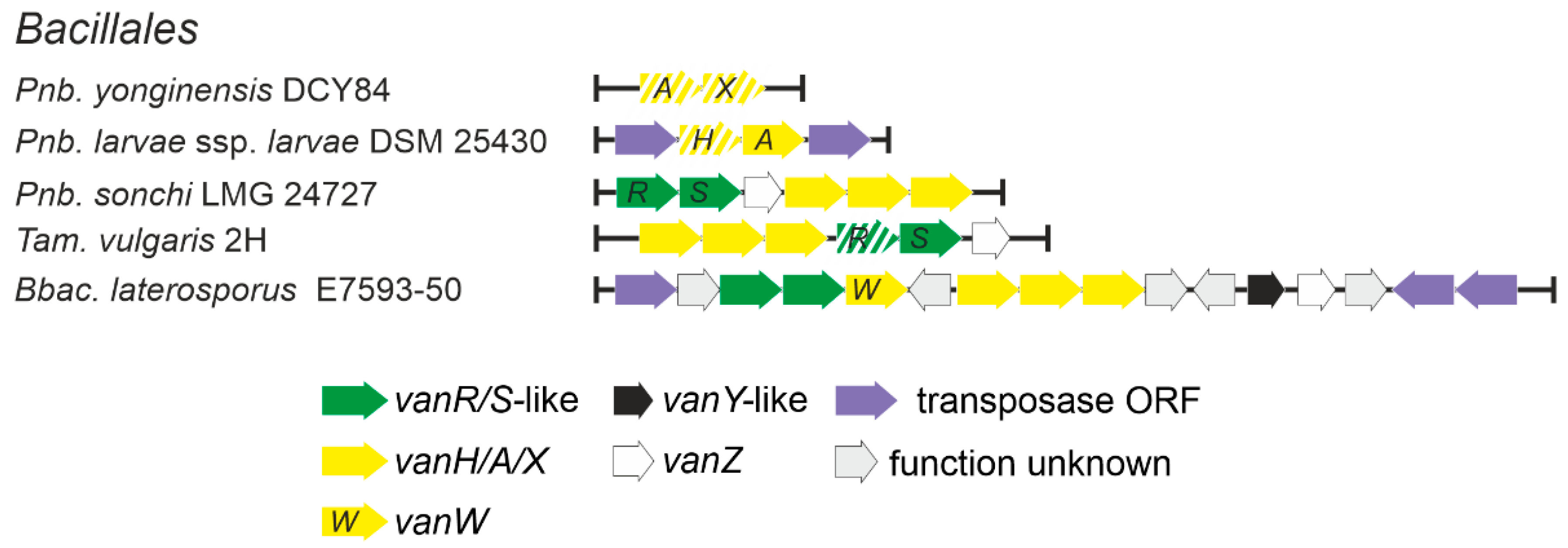 Antibiotics 10 01533 g009 Antibiotics 10 01533 g009