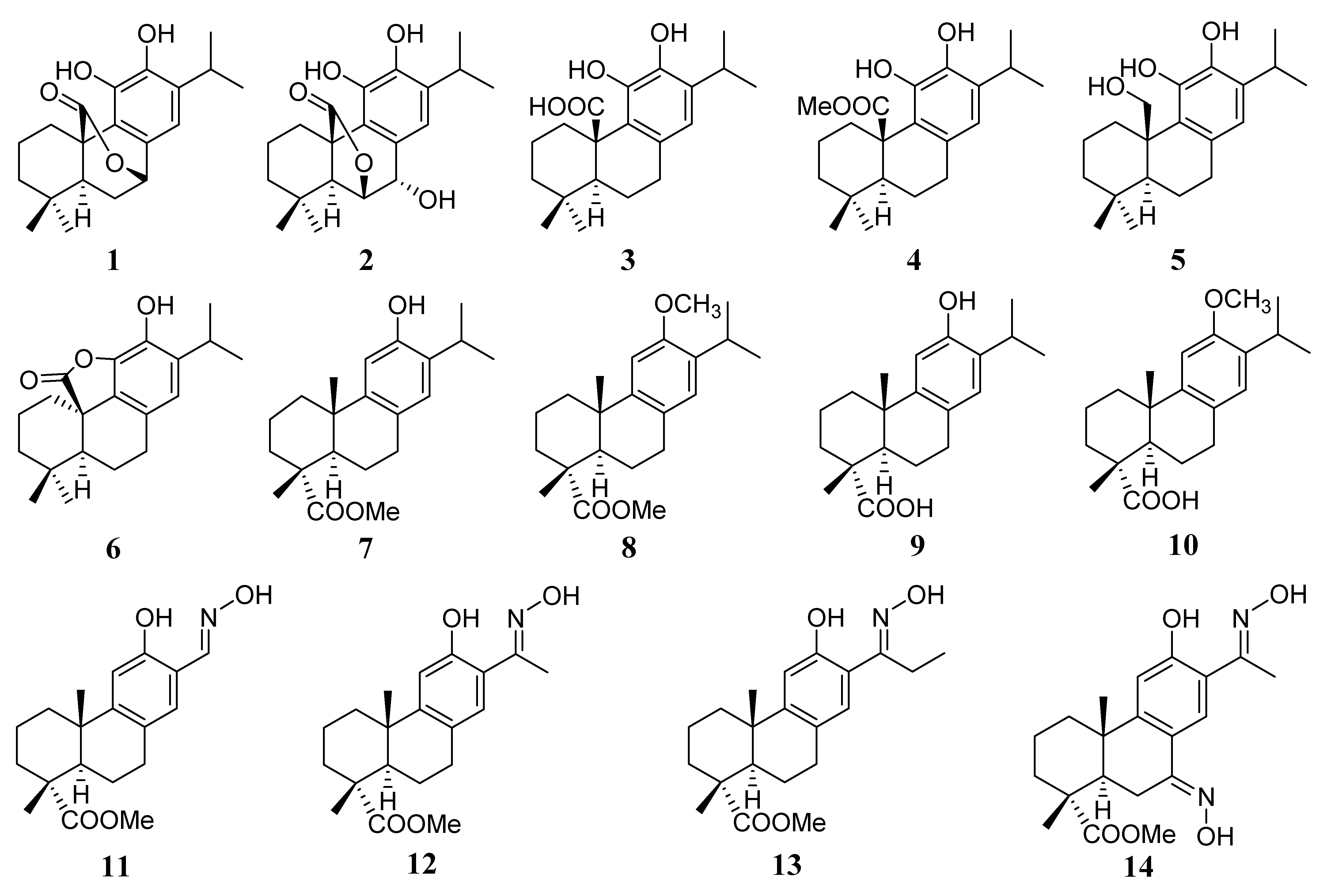 Antibiotics 10 01535 g001 550