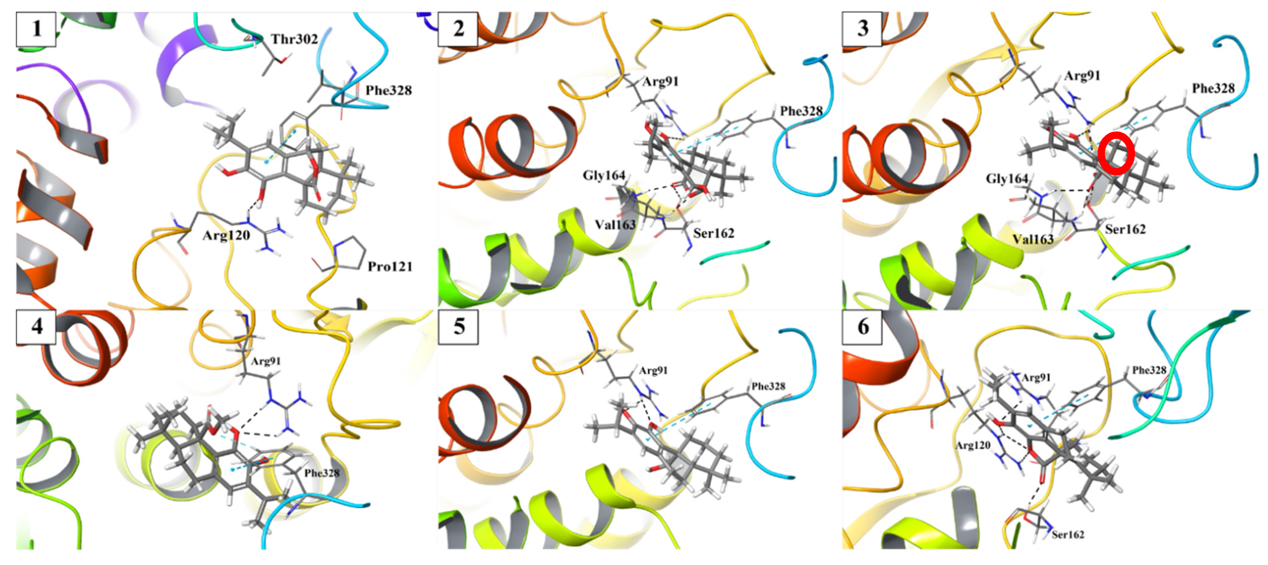 Antibiotics 10 01535 g005 550