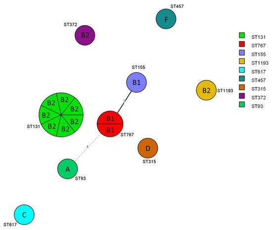 Sequence type diversity and population structure of ESBL-producing