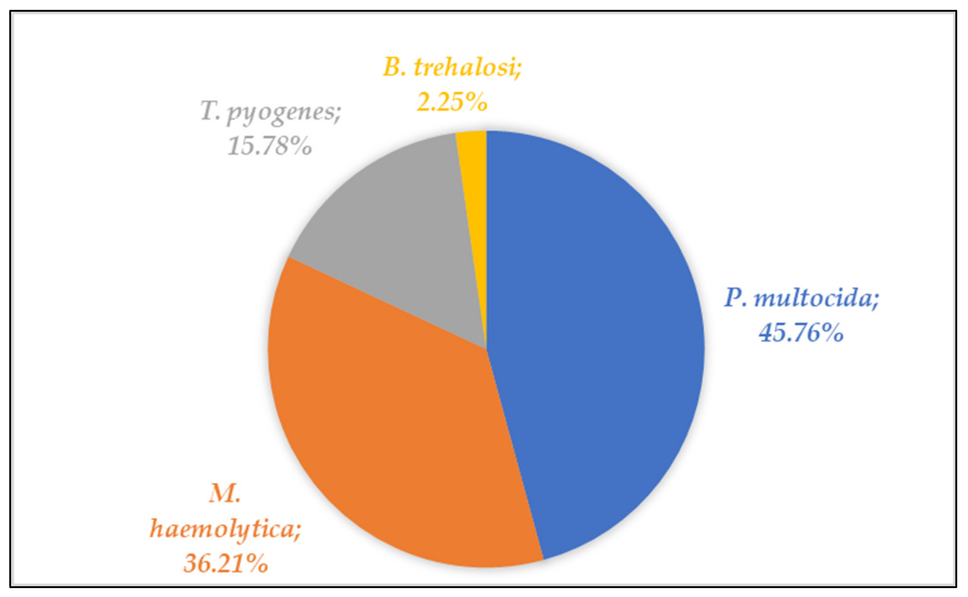Antibiotics 10 01538 g001 550