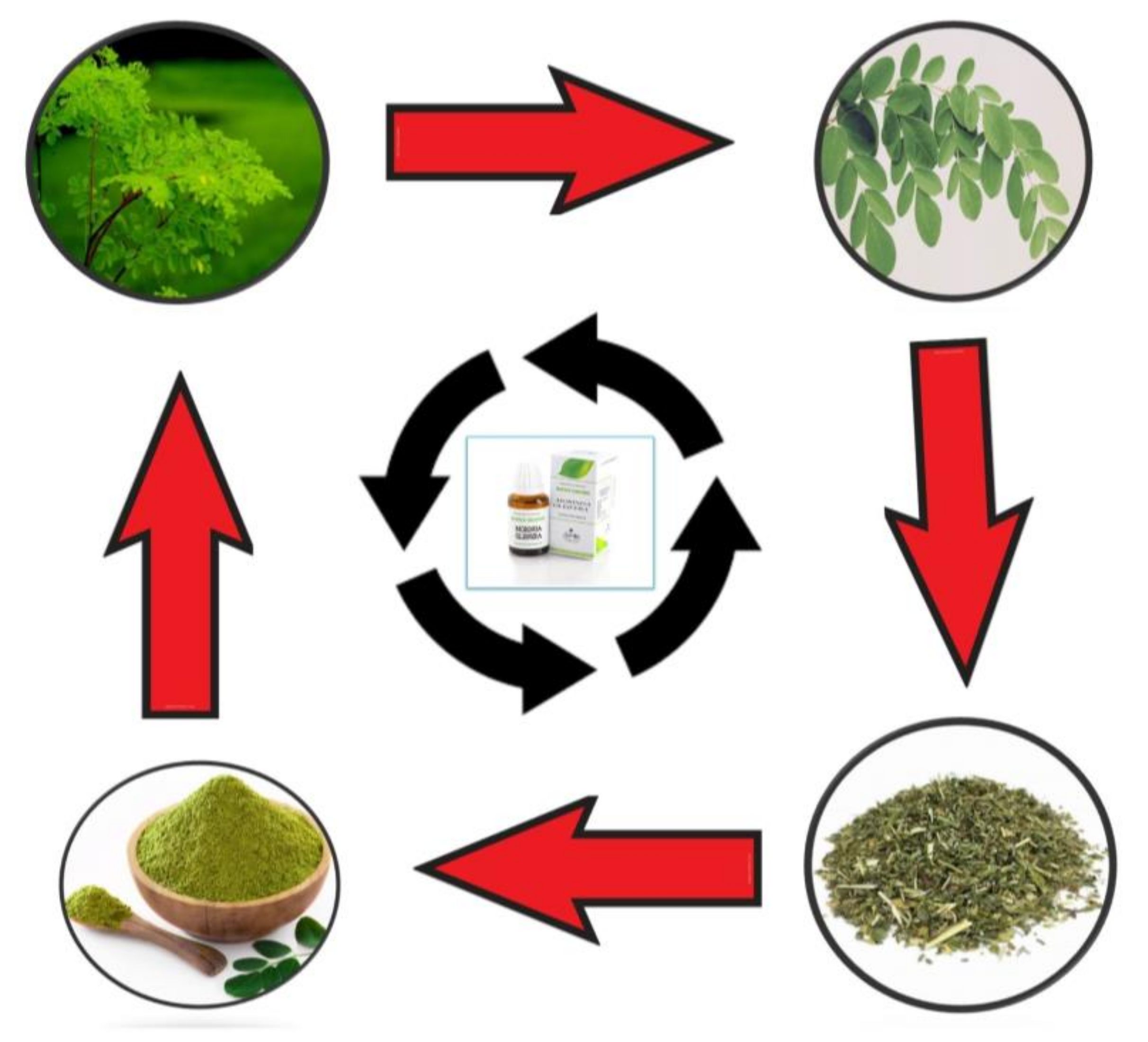 Antibiotics 10 01540 g002 Antibiotics 10 01540 g002