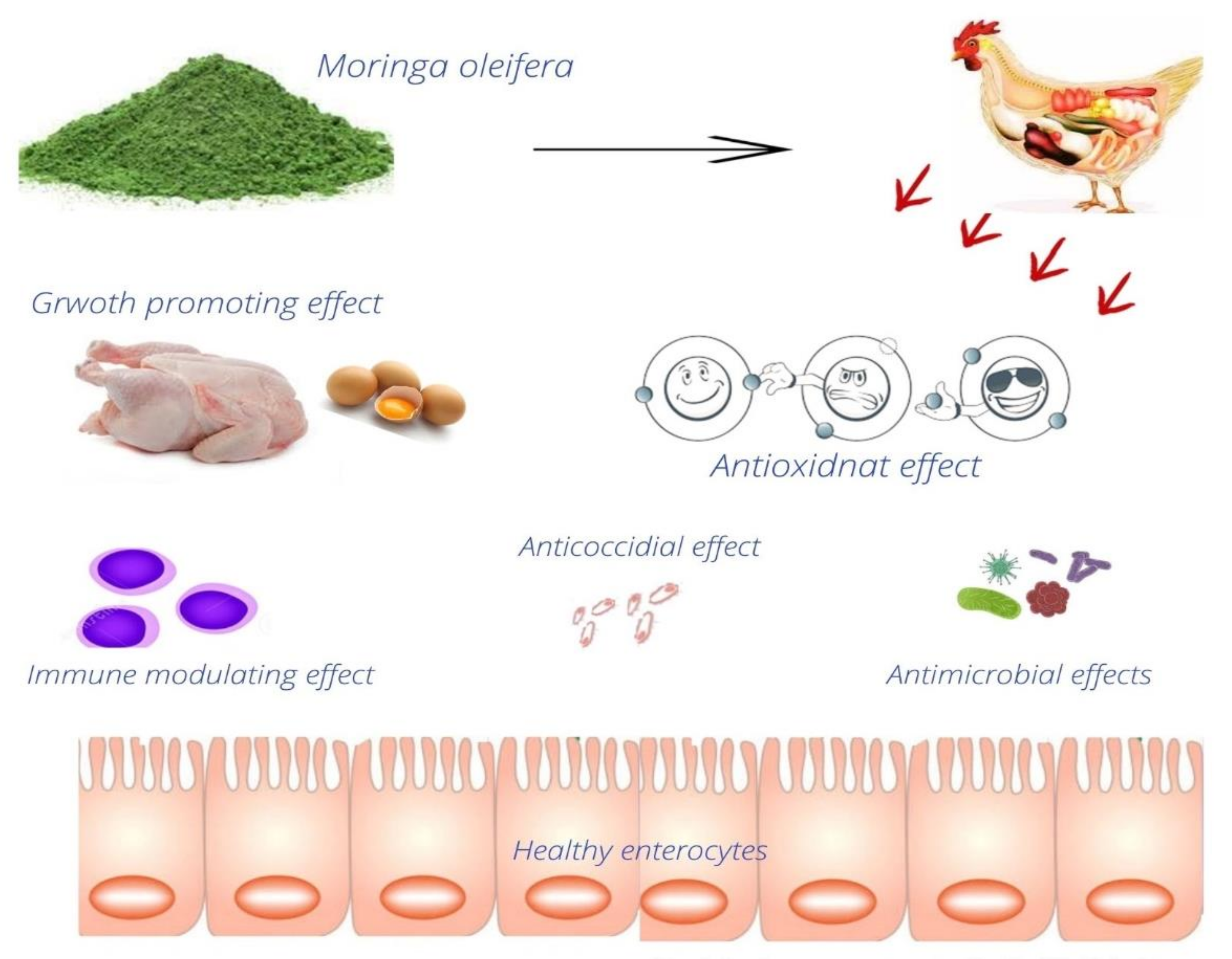 Antibiotics 10 01540 g003 Antibiotics 10 01540 g003