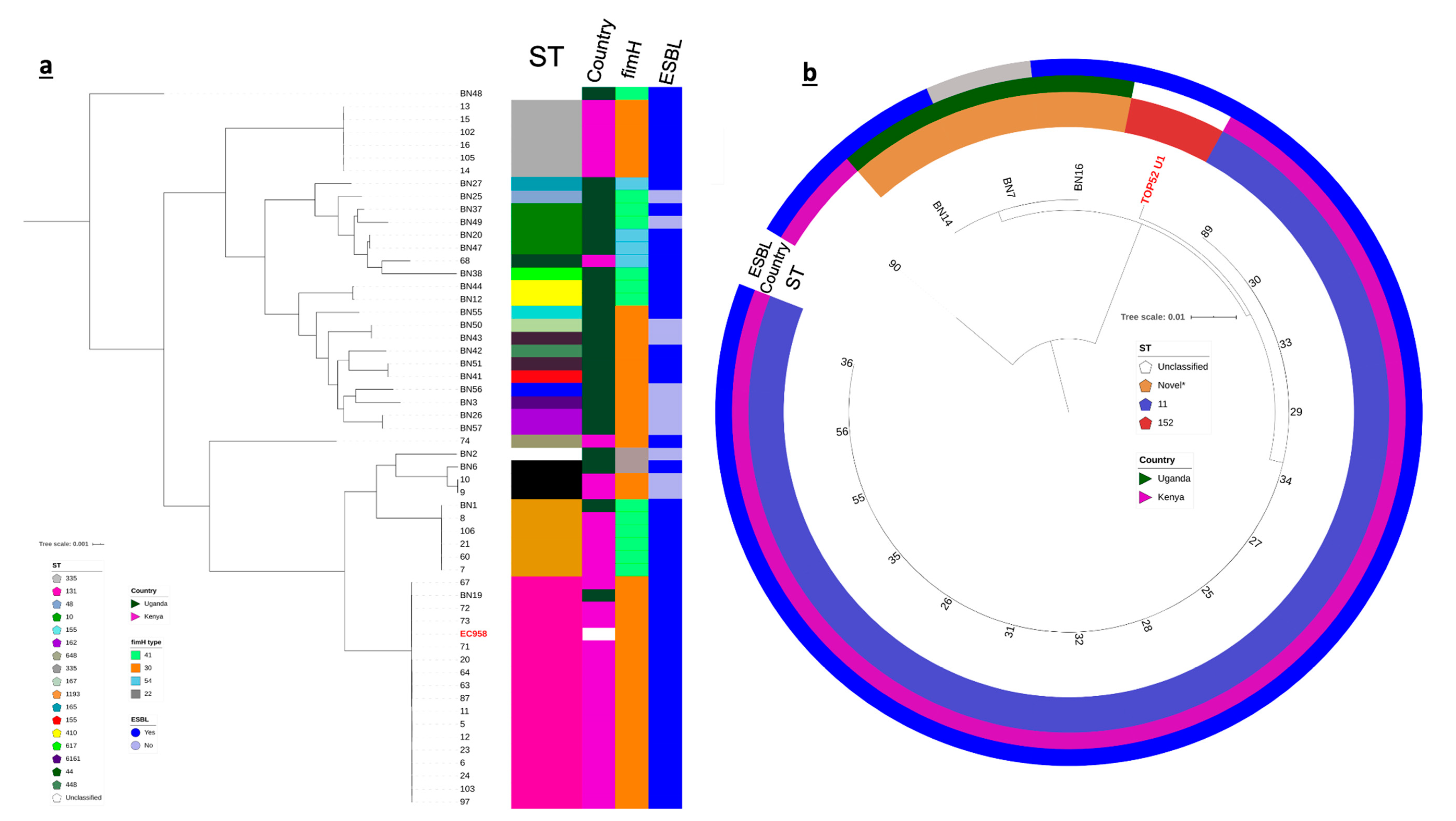 Antibiotics 10 01547 g001 Antibiotics 10 01547 g001