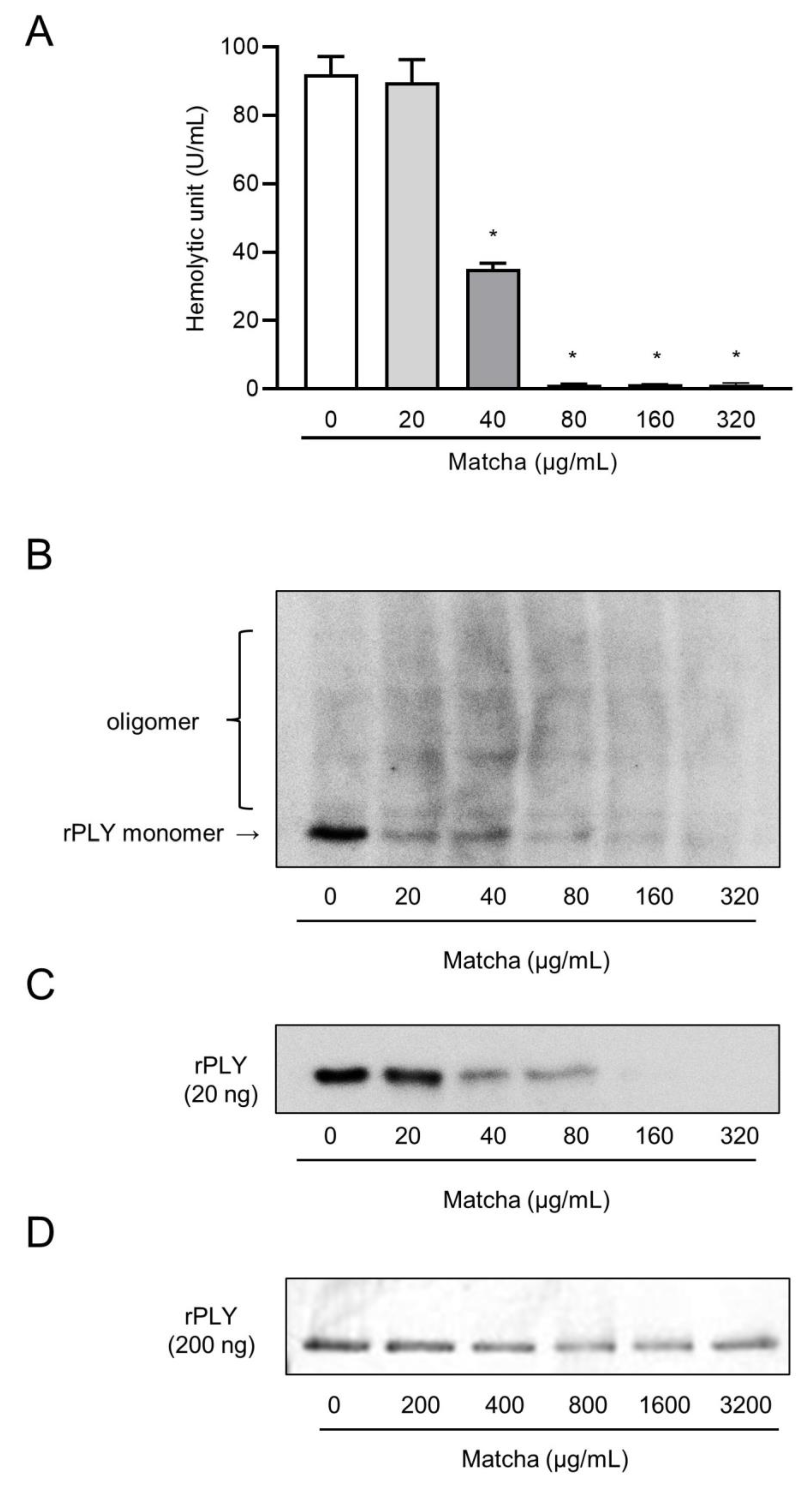 Antibiotics 10 01550 g002