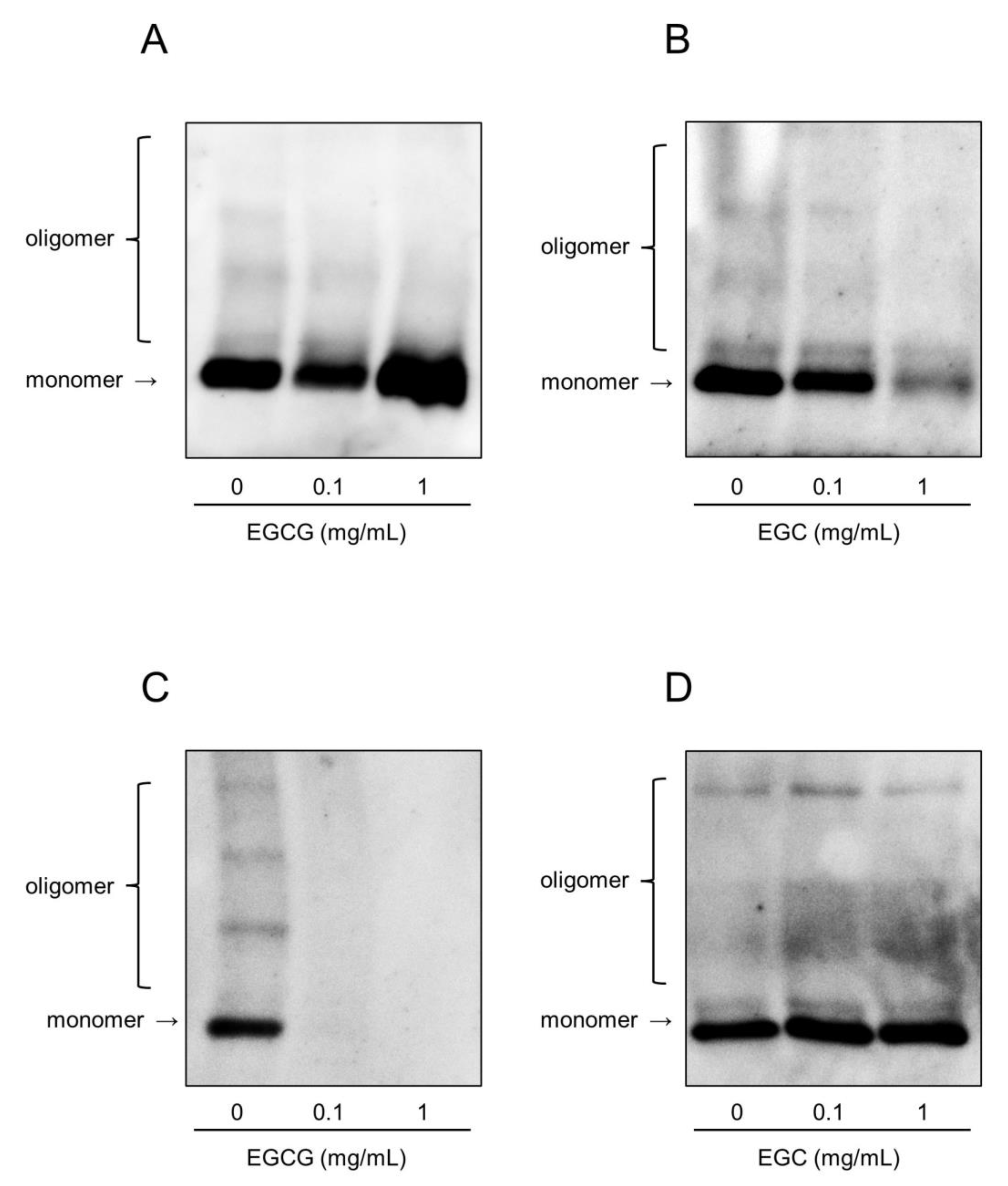 Antibiotics 10 01550 g005