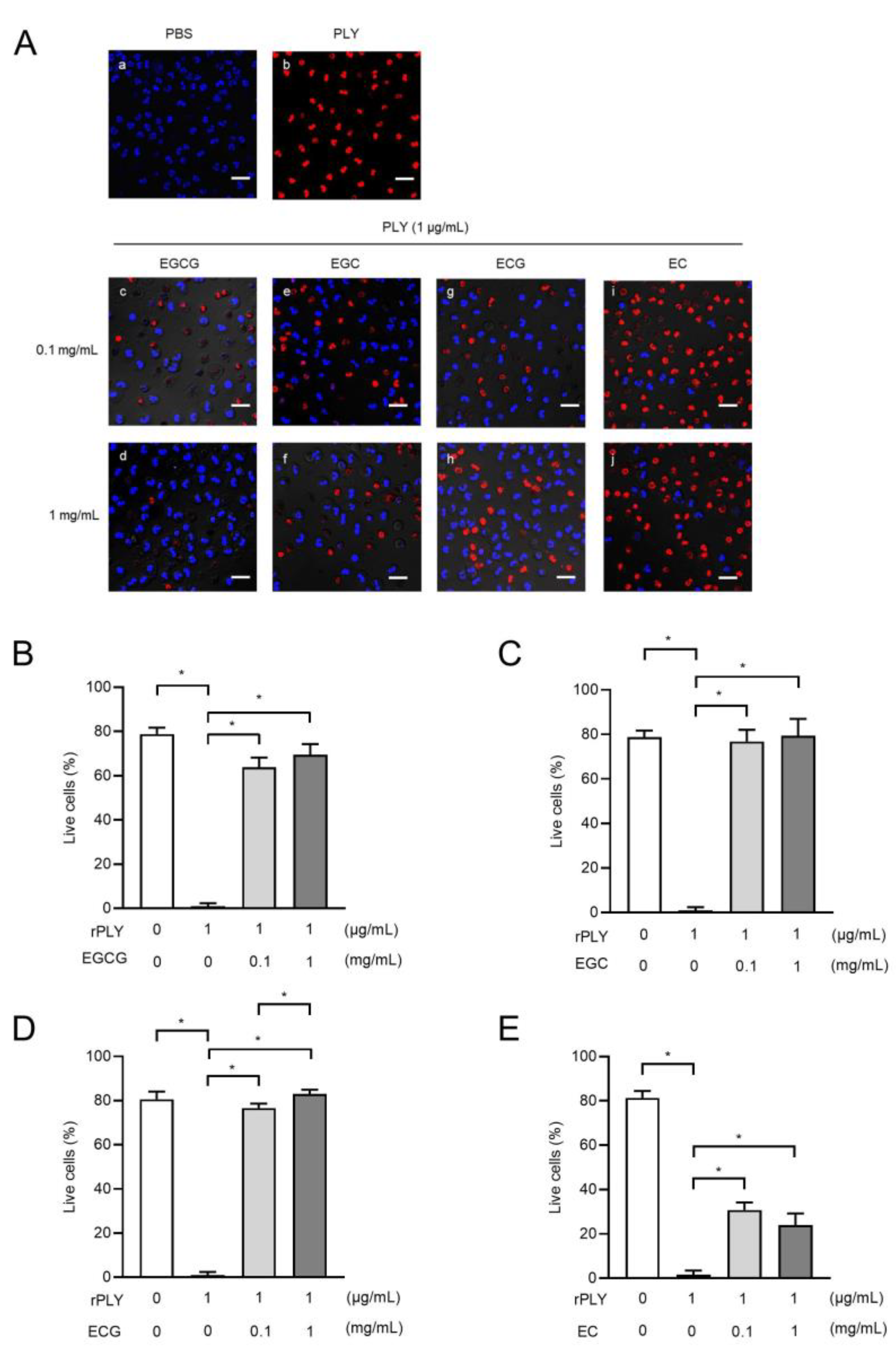 Antibiotics 10 01550 g006
