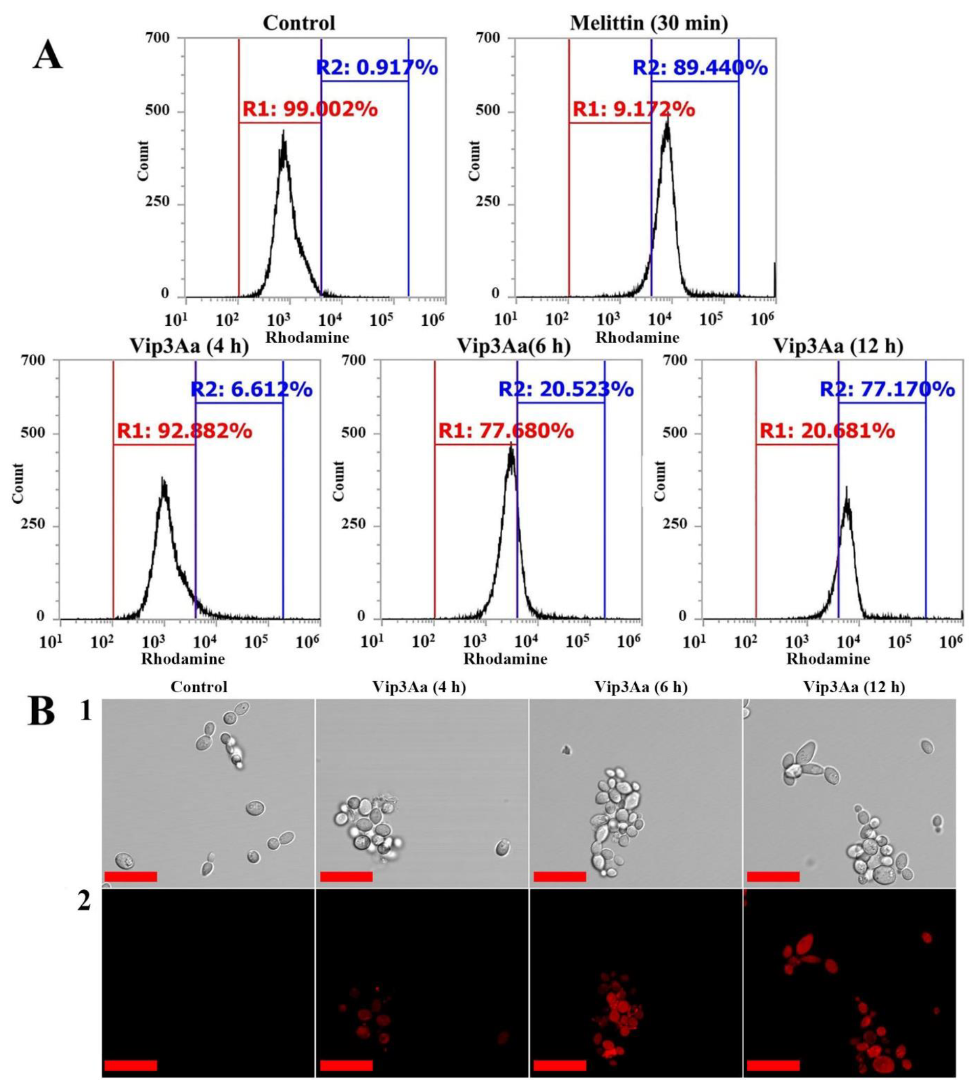 Antibiotics 10 01558 g004